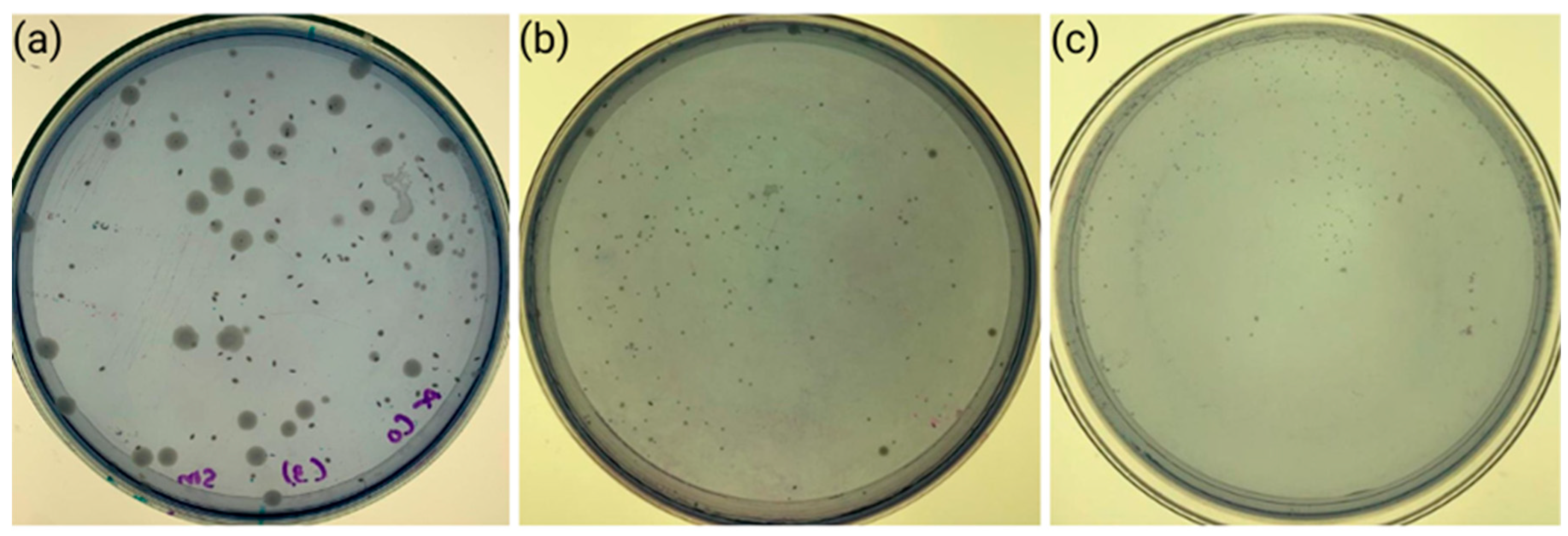 Dentistry 13 00447 g006