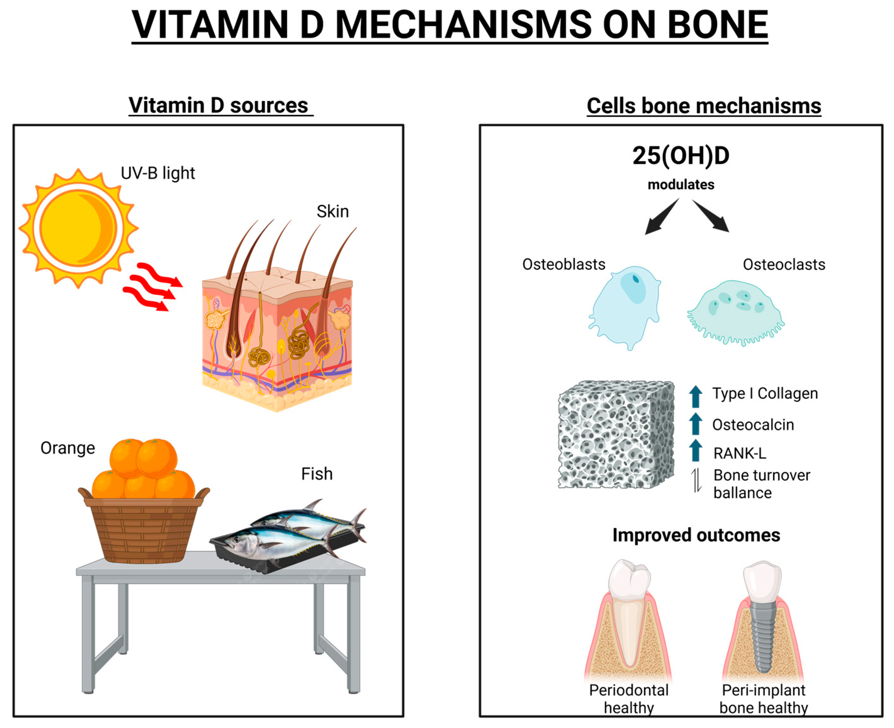 Dentistry 13 00448 g001 Dentistry 13 00448 g001