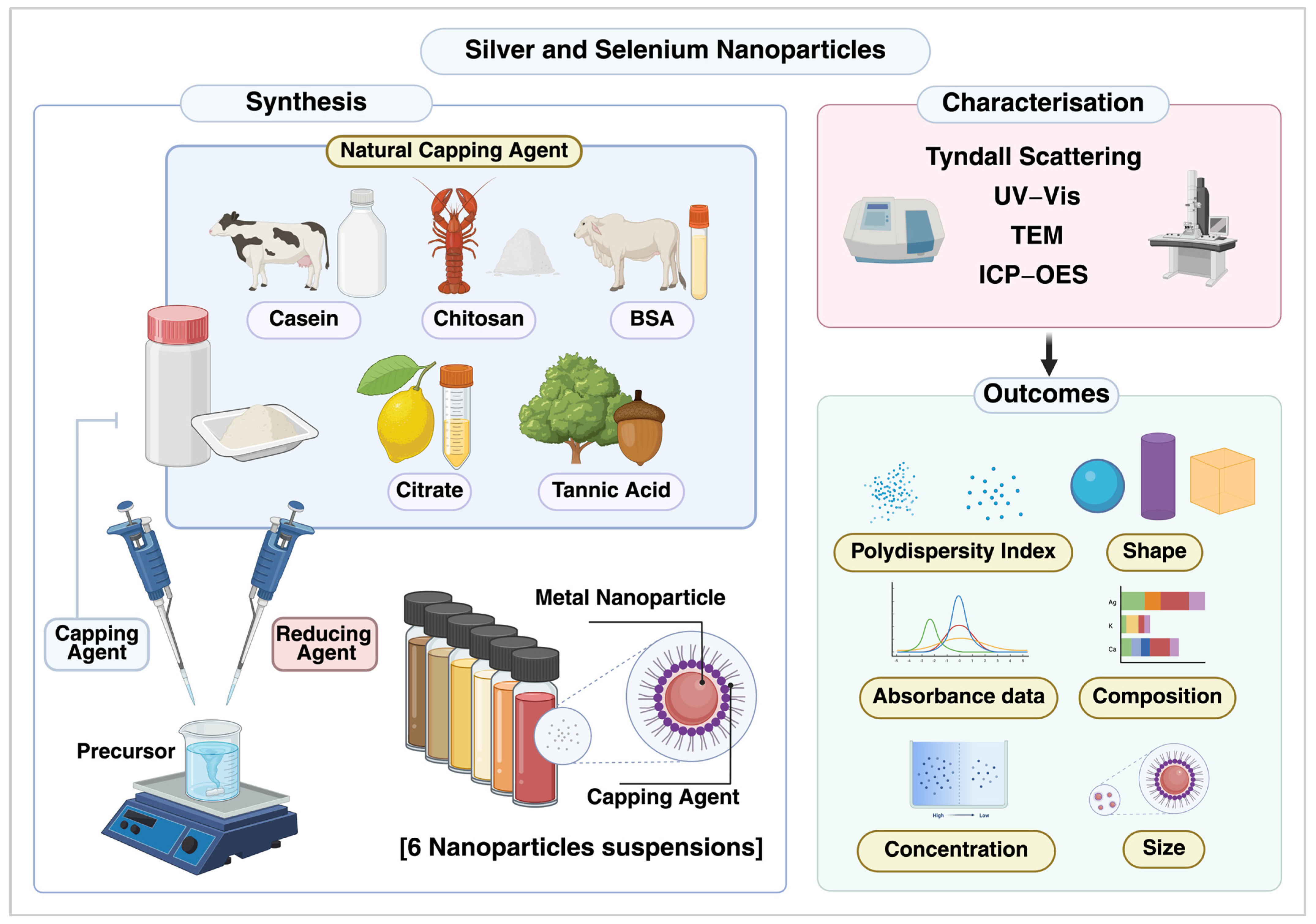 Dentistry 13 00456 g001 Dentistry 13 00456 g001