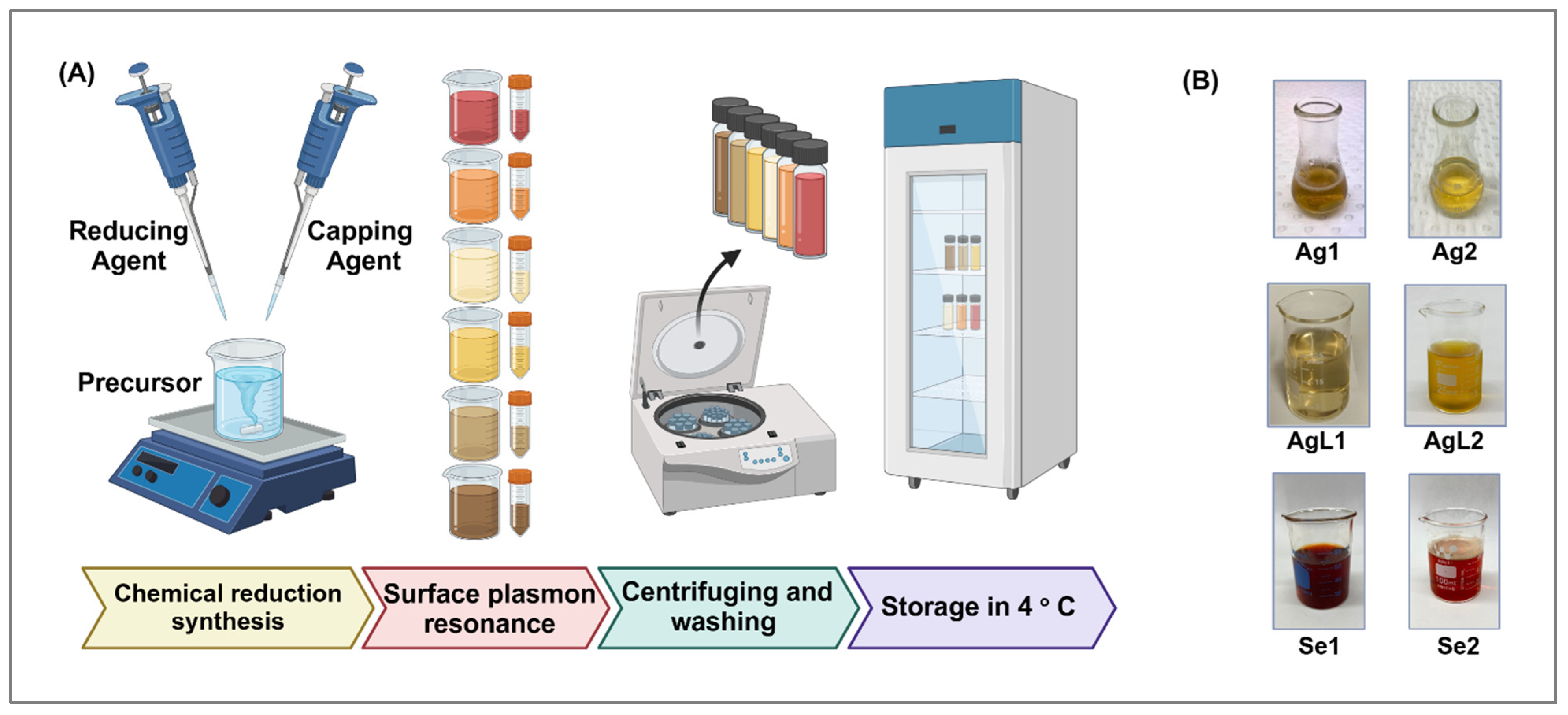 Dentistry 13 00456 g002 Dentistry 13 00456 g002