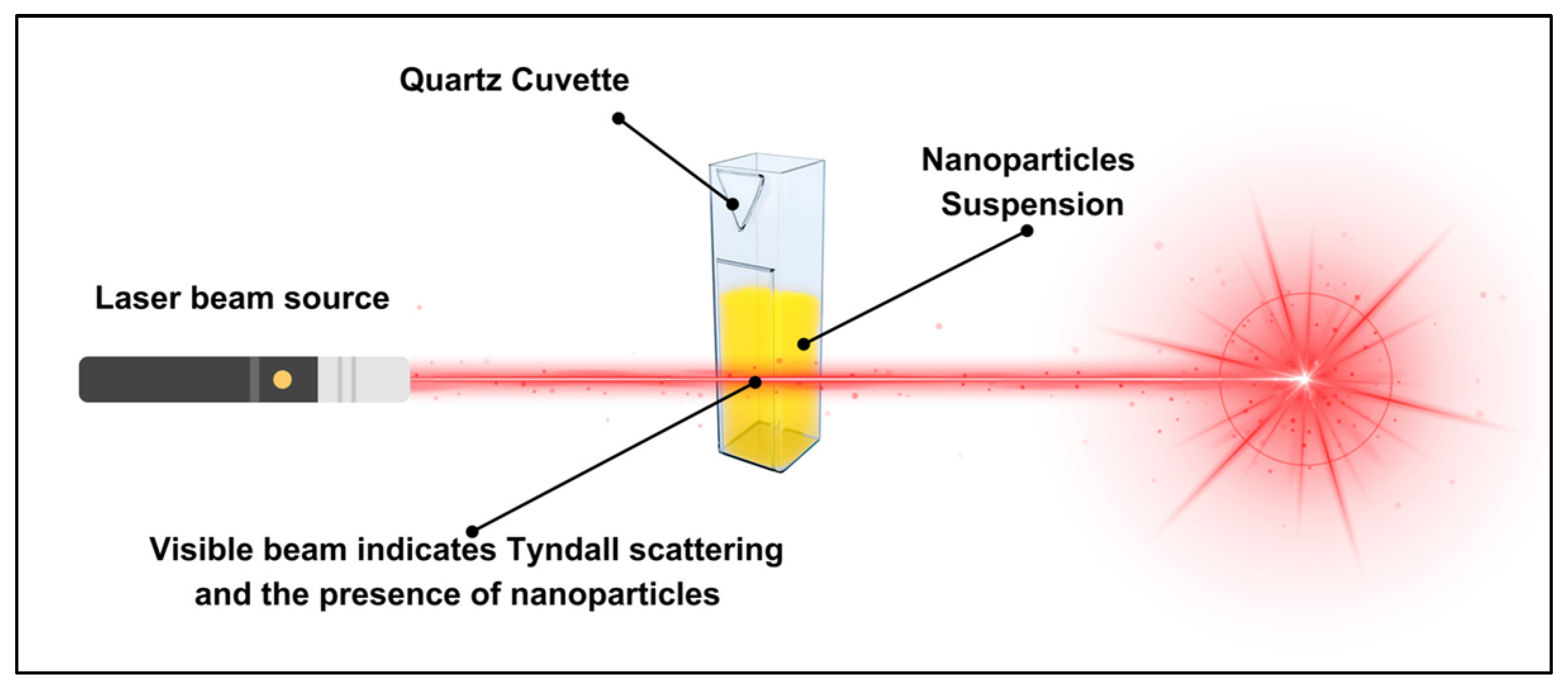 Dentistry 13 00456 g003 Dentistry 13 00456 g003