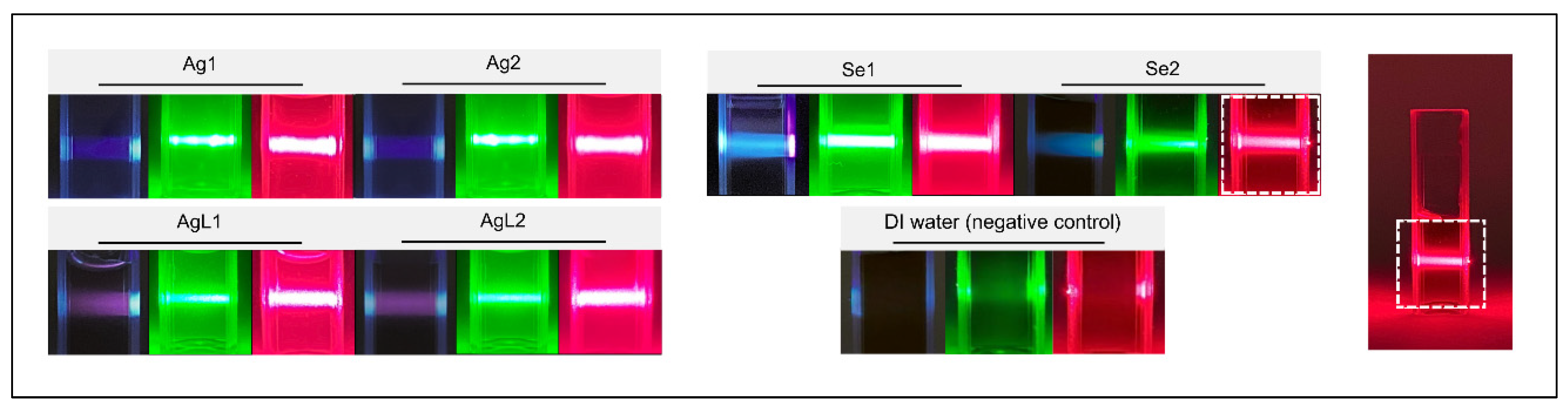 Dentistry 13 00456 g004 Dentistry 13 00456 g004