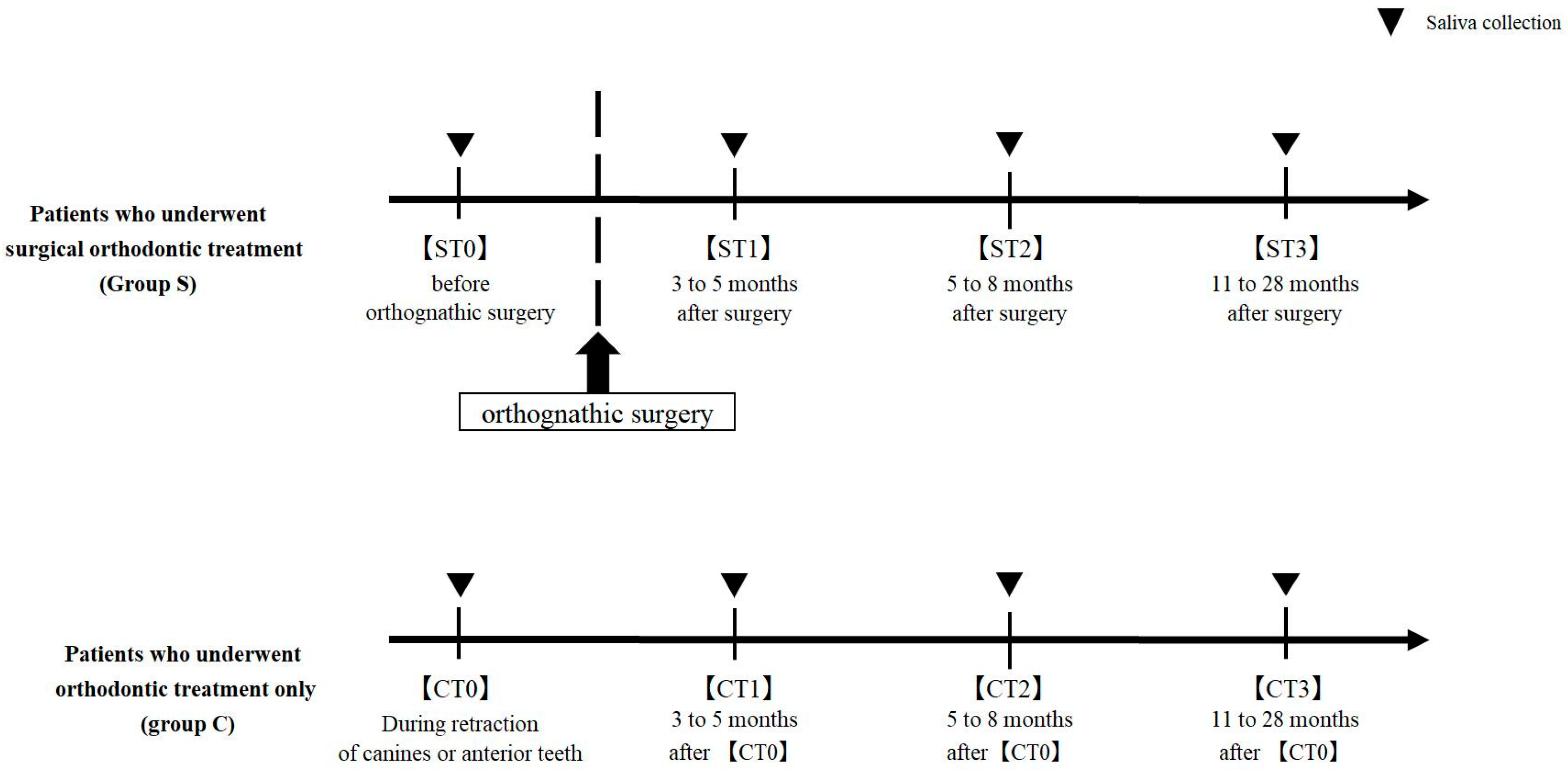 Dentistry 13 00458 g001 Dentistry 13 00458 g001