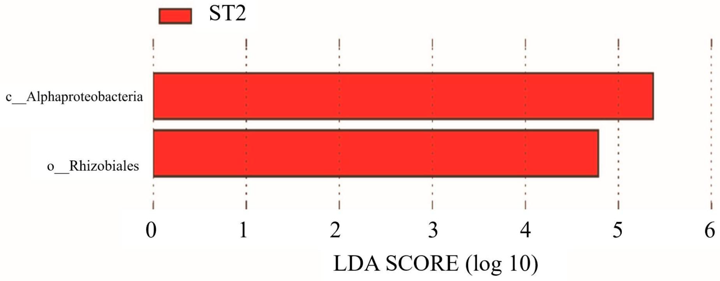 Dentistry 13 00458 g004 Dentistry 13 00458 g004