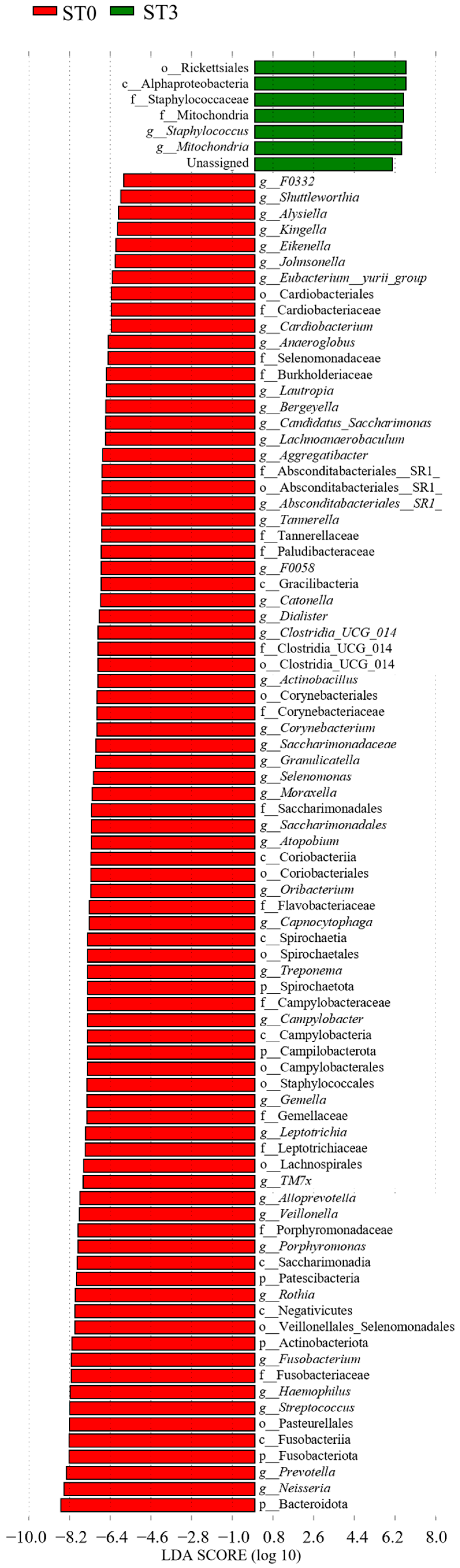 Dentistry 13 00458 g005 Dentistry 13 00458 g005