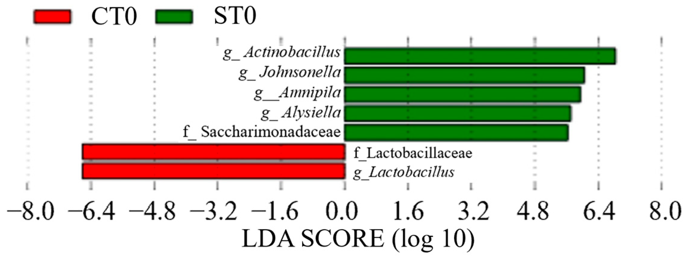 Dentistry 13 00458 g008 Dentistry 13 00458 g008
