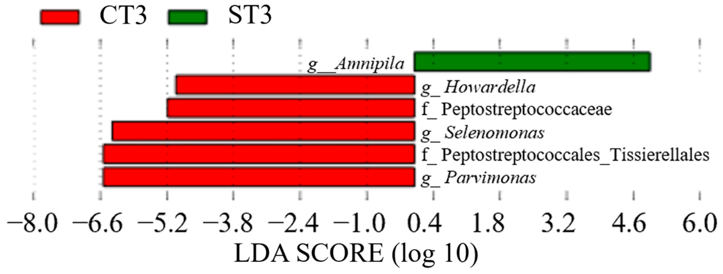 Dentistry 13 00458 g011 Dentistry 13 00458 g011