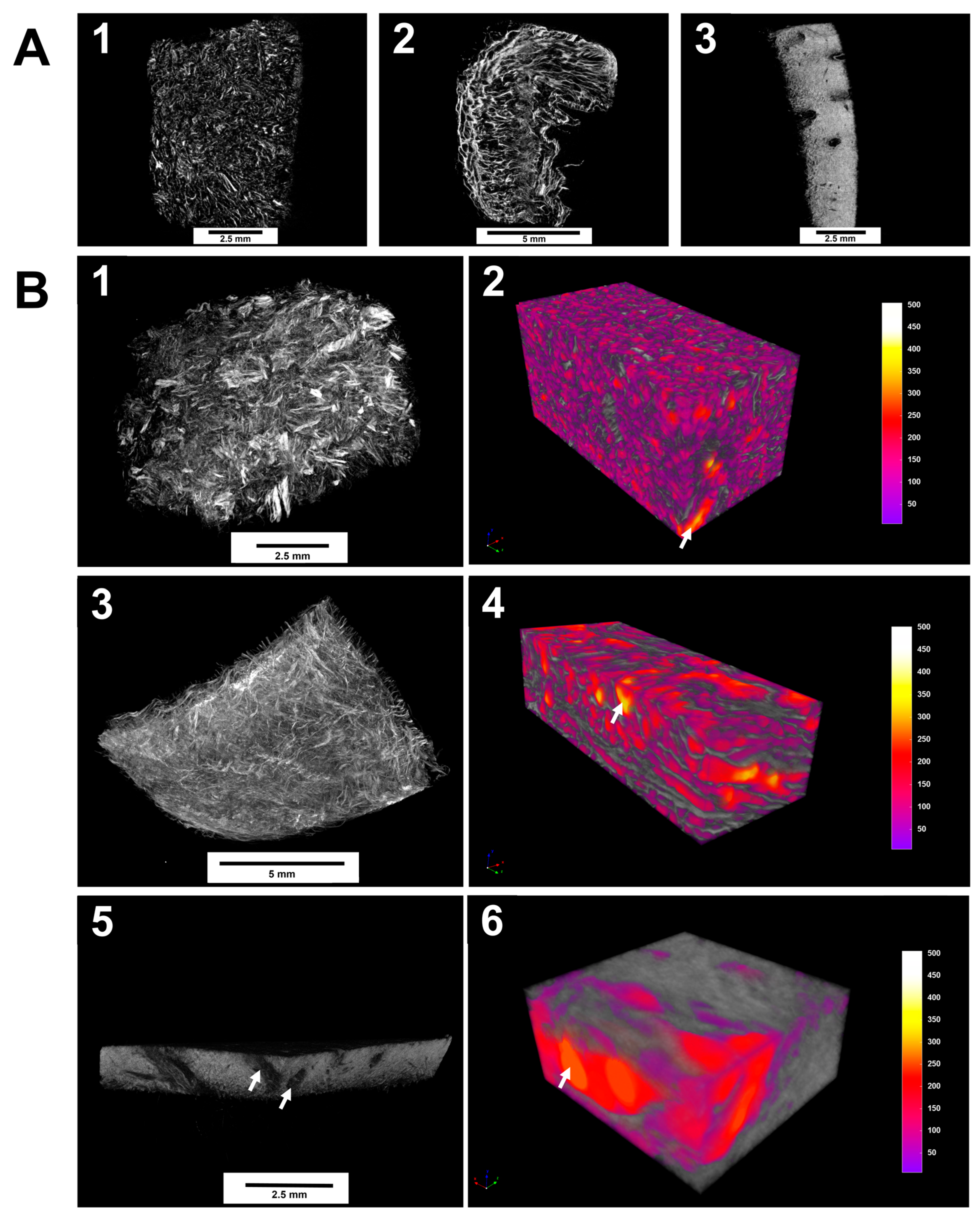 Dentistry 13 00460 g001