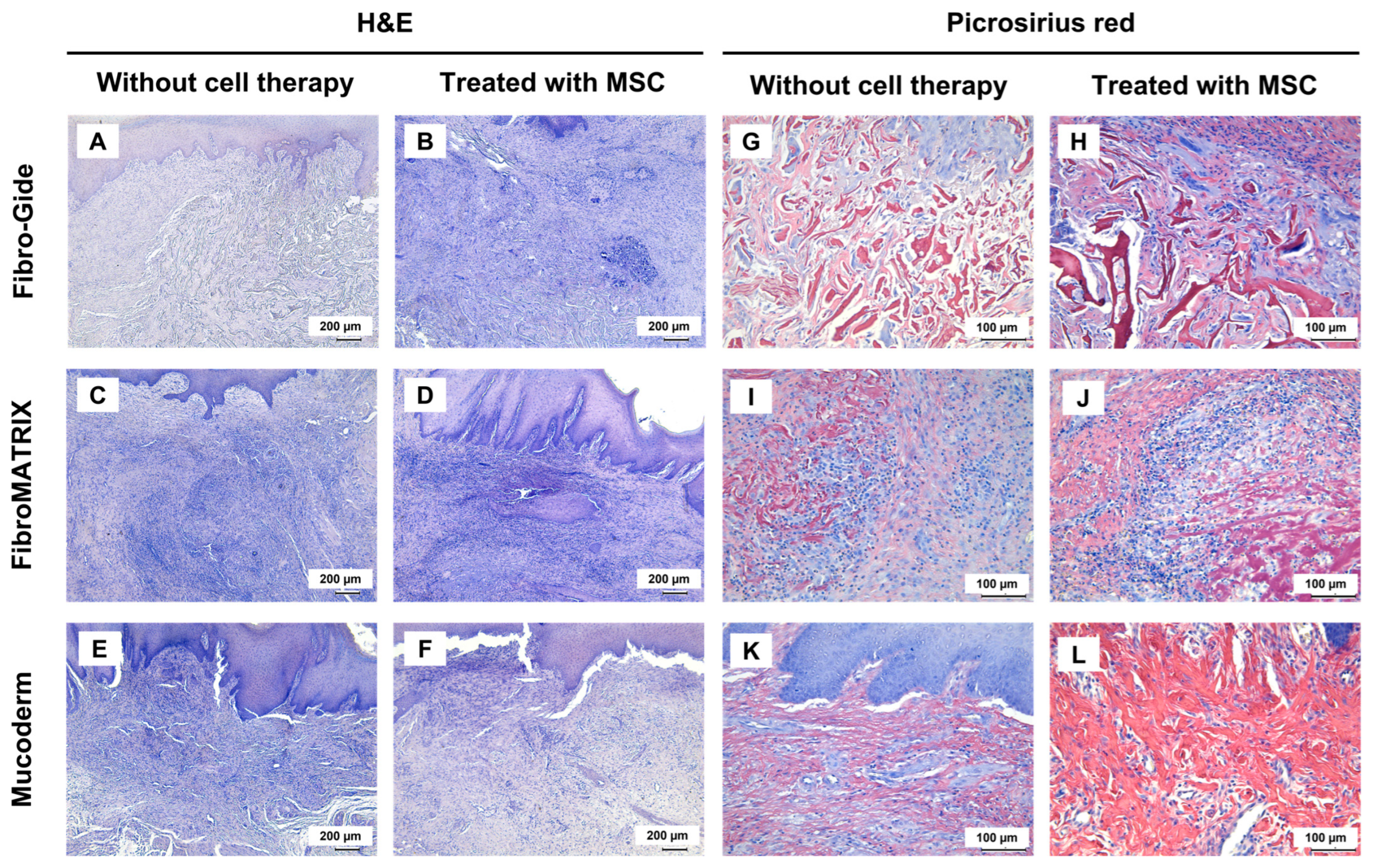 Dentistry 13 00460 g006