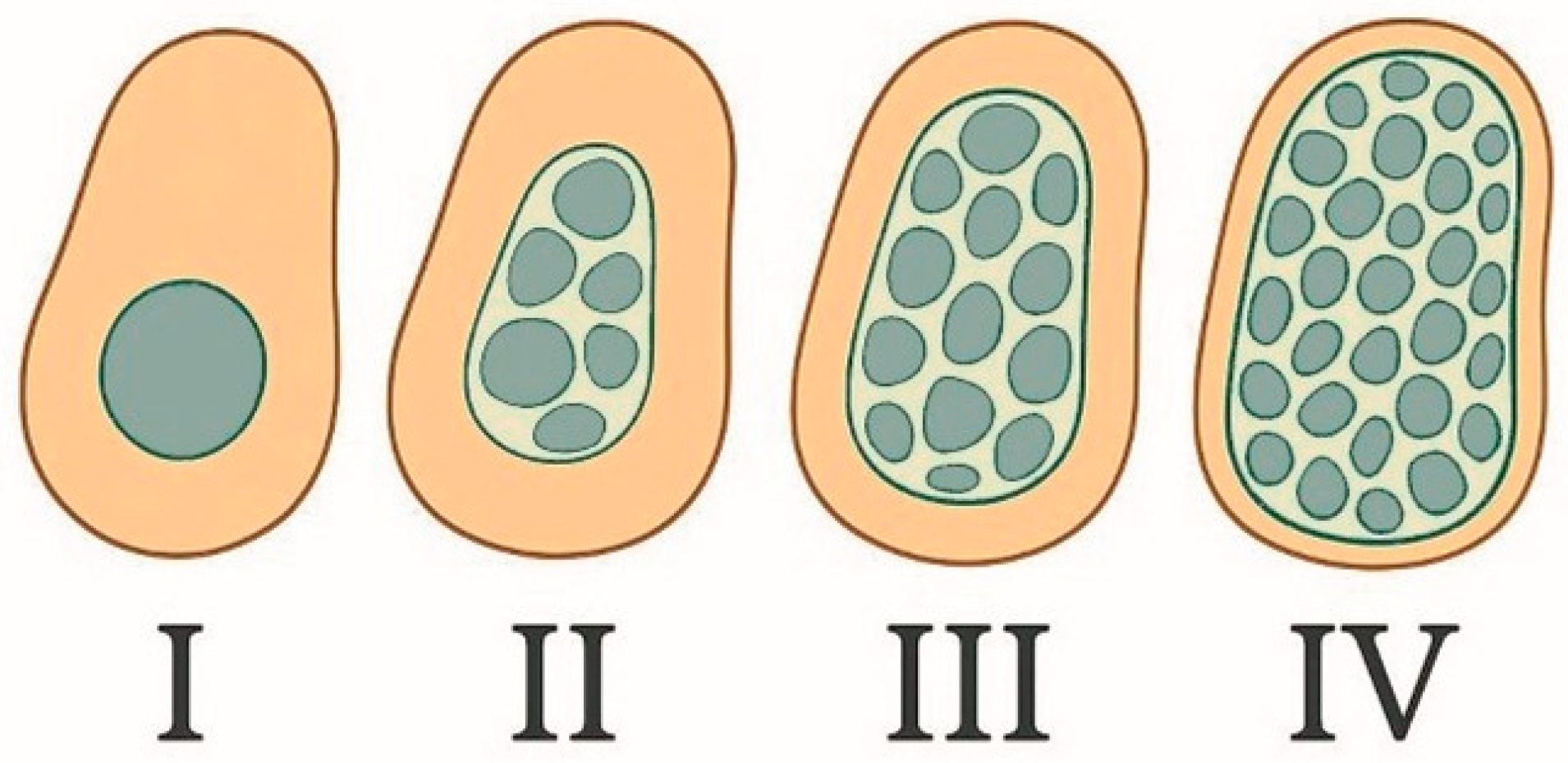 Dentistry 13 00461 g002 Dentistry 13 00461 g002
