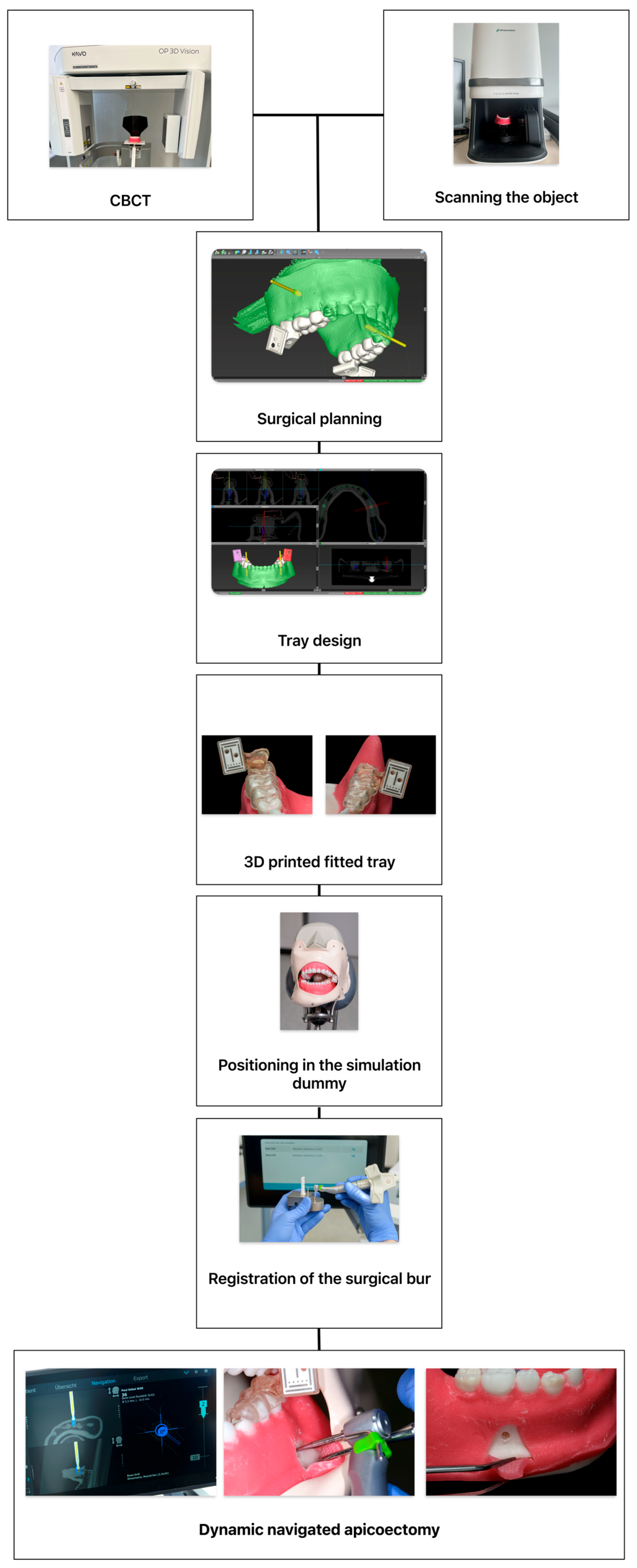 Dentistry 13 00464 g002