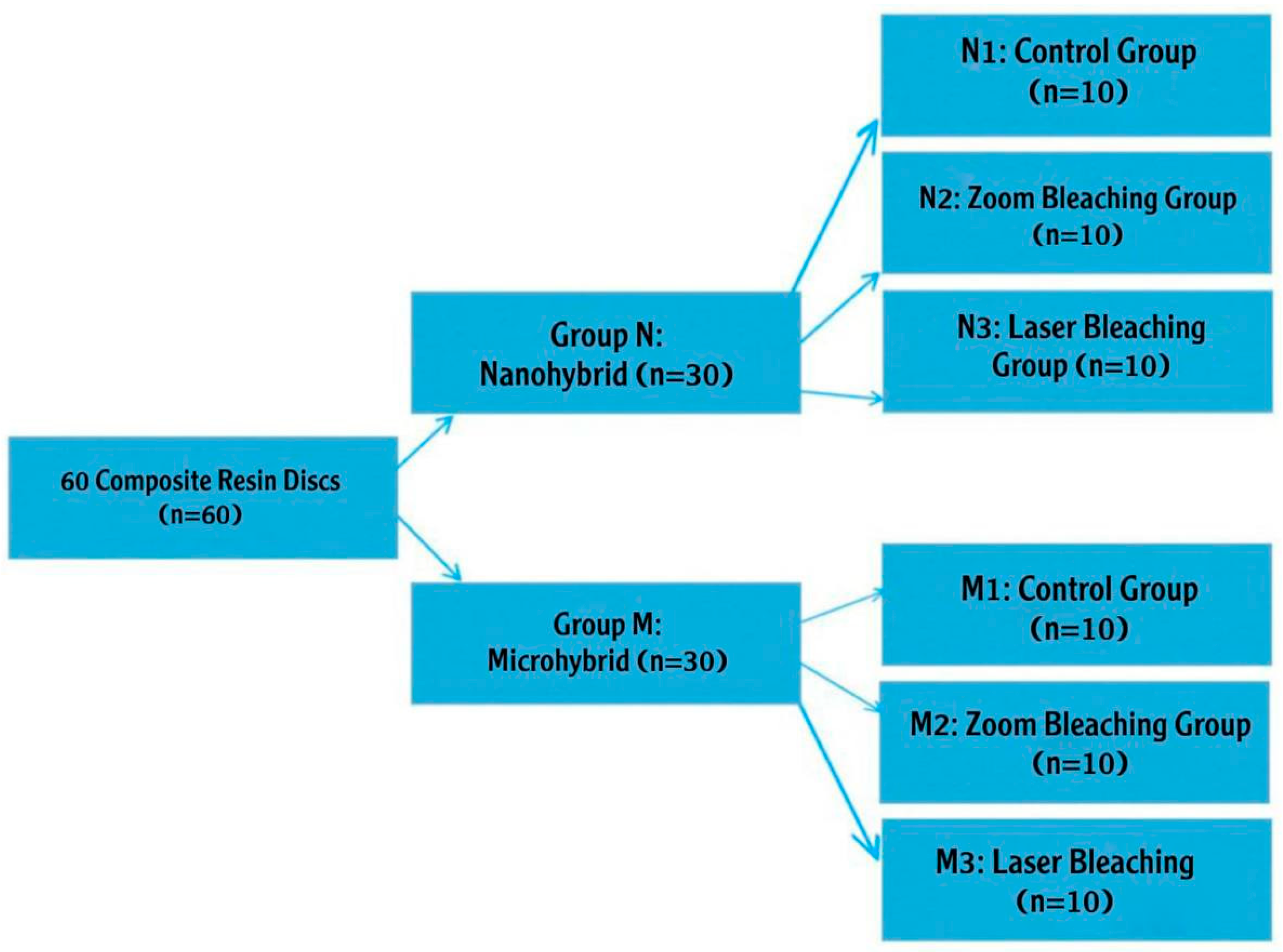 Dentistry 13 00470 g002 Dentistry 13 00470 g002