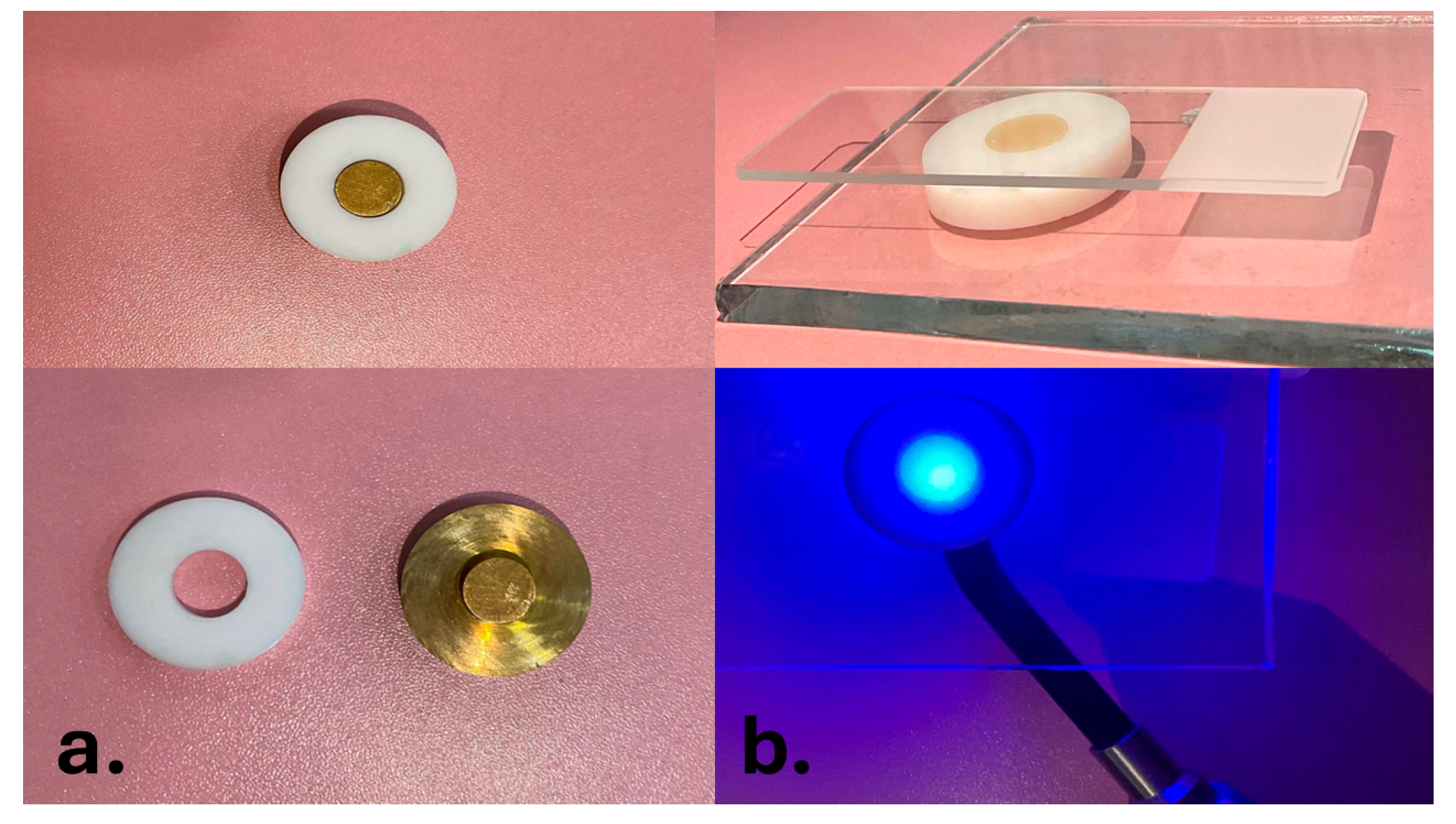 Dentistry 13 00470 g003 Dentistry 13 00470 g003