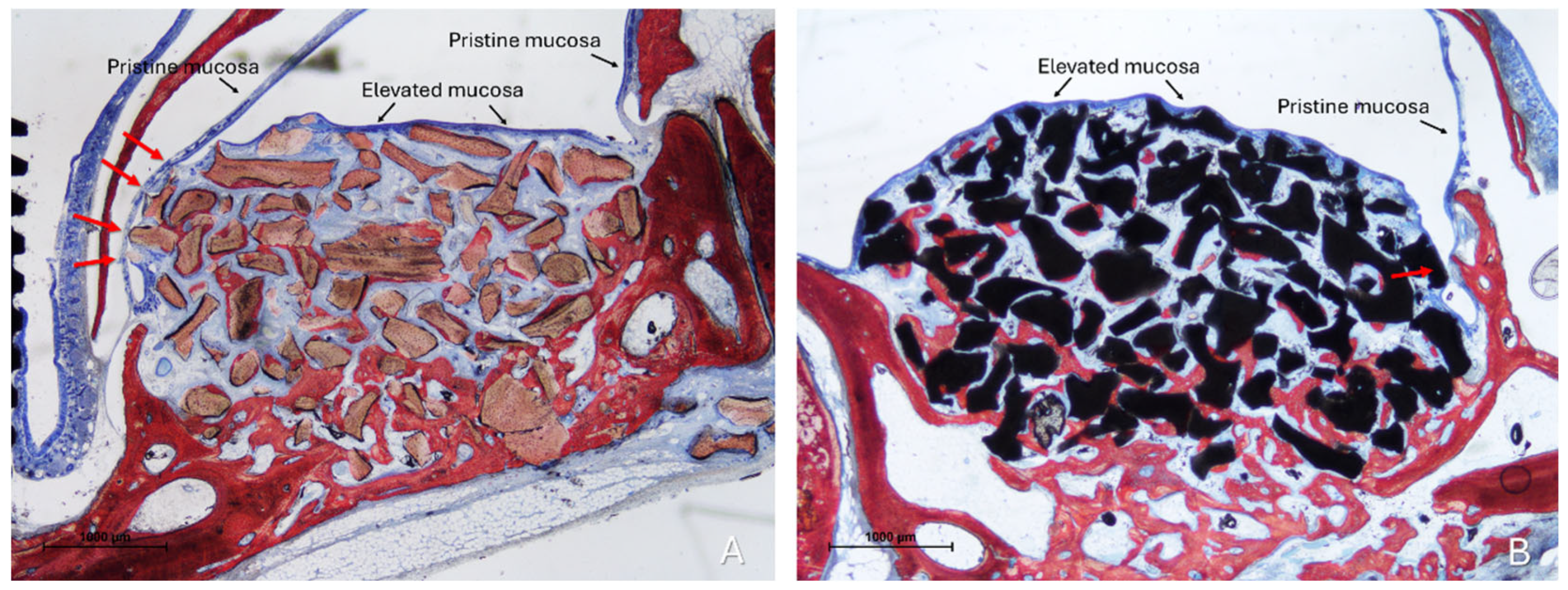 Dentistry 13 00472 g003