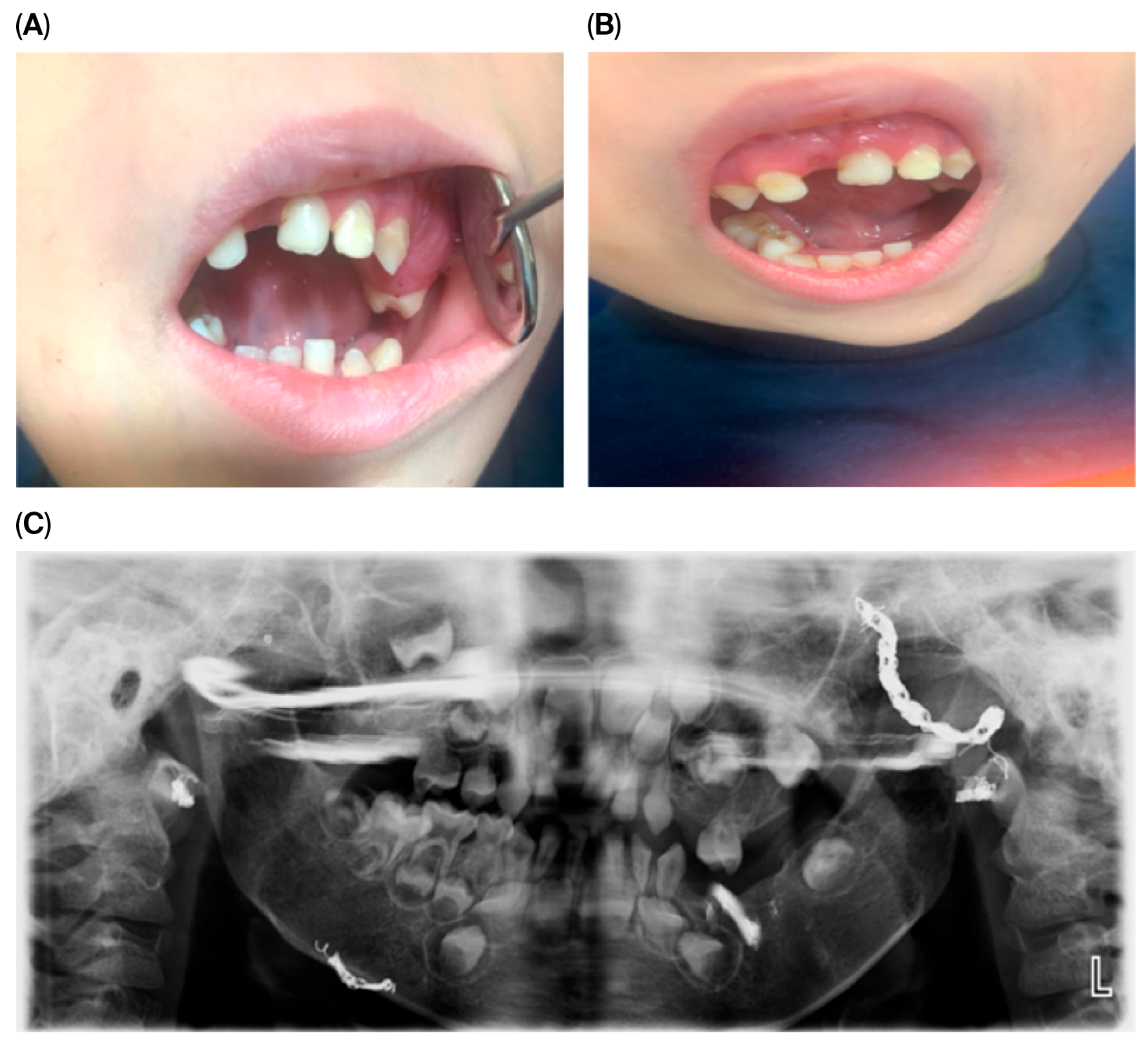 Dentistry 13 00473 g001