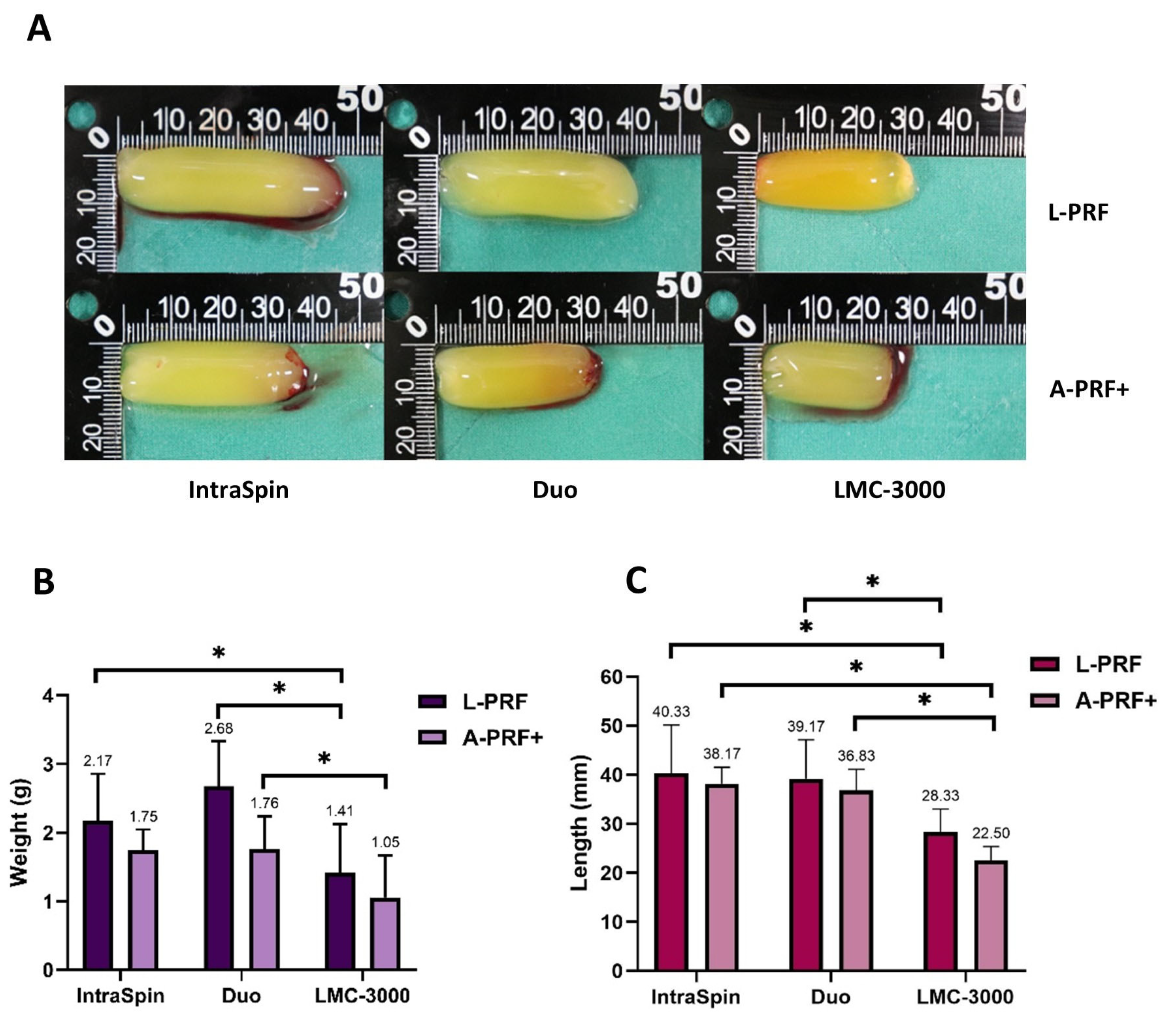 Dentistry 13 00476 g002 Dentistry 13 00476 g002
