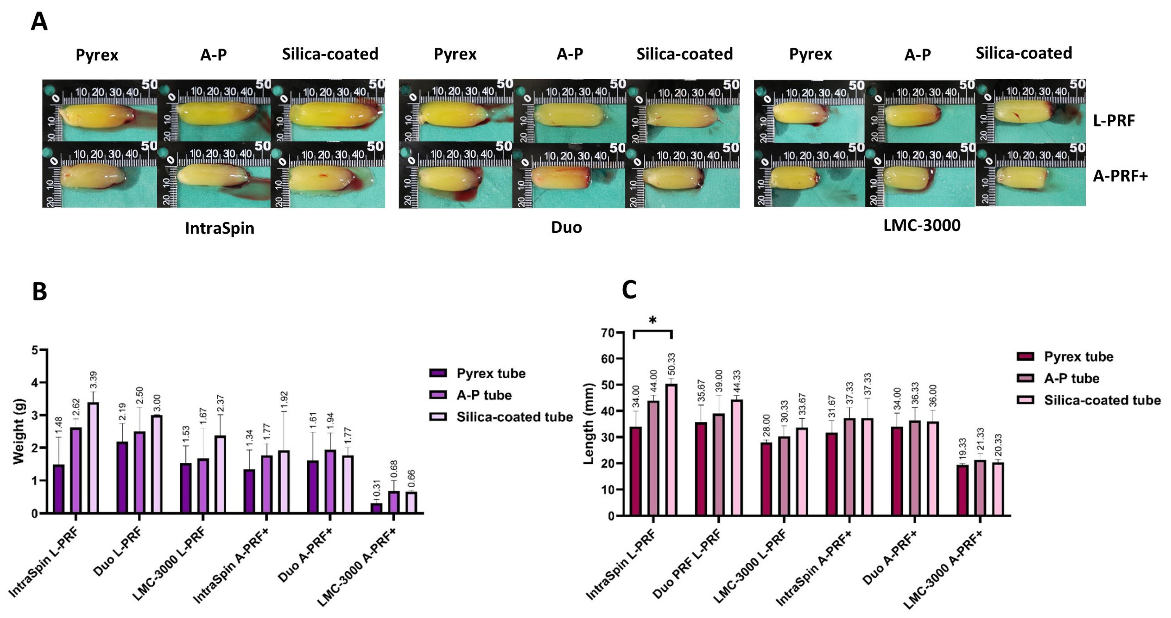 Dentistry 13 00476 g005 Dentistry 13 00476 g005