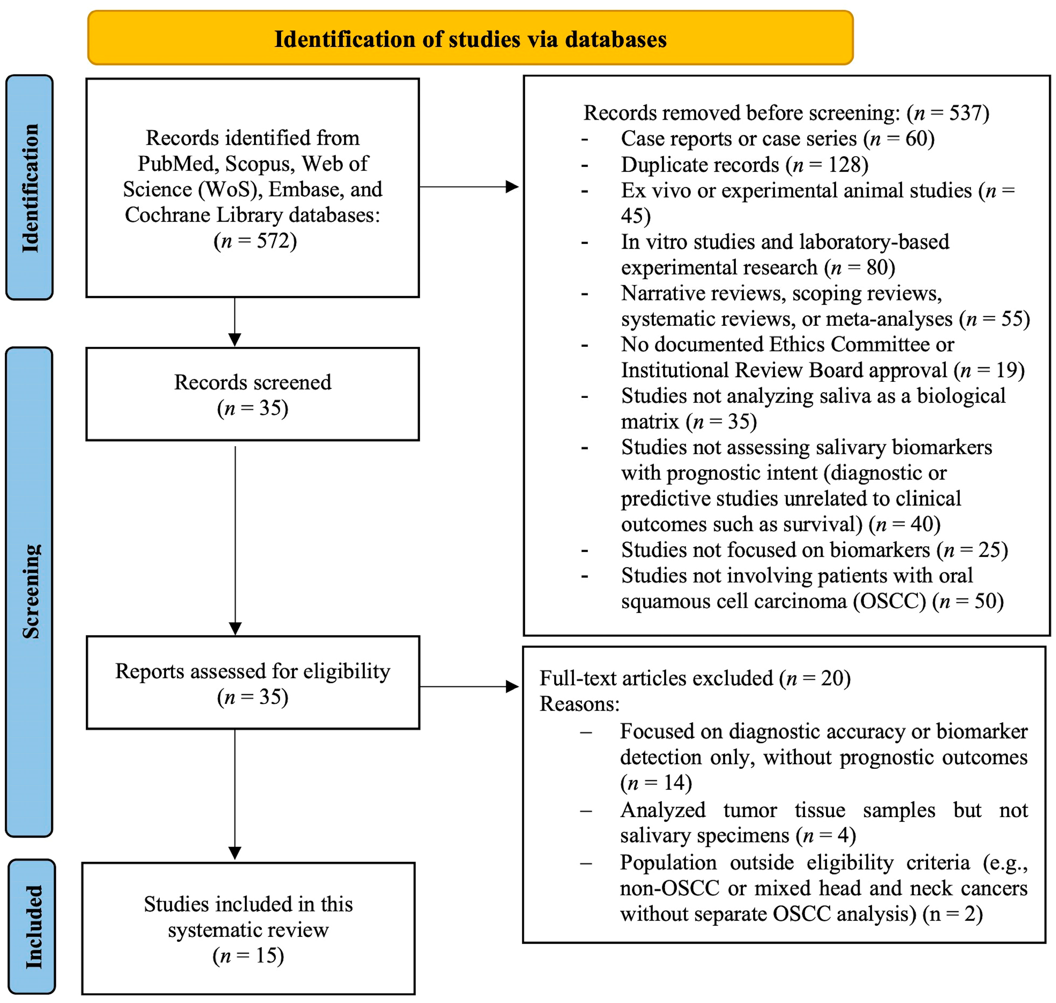 Dentistry 13 00479 g001 Dentistry 13 00479 g001