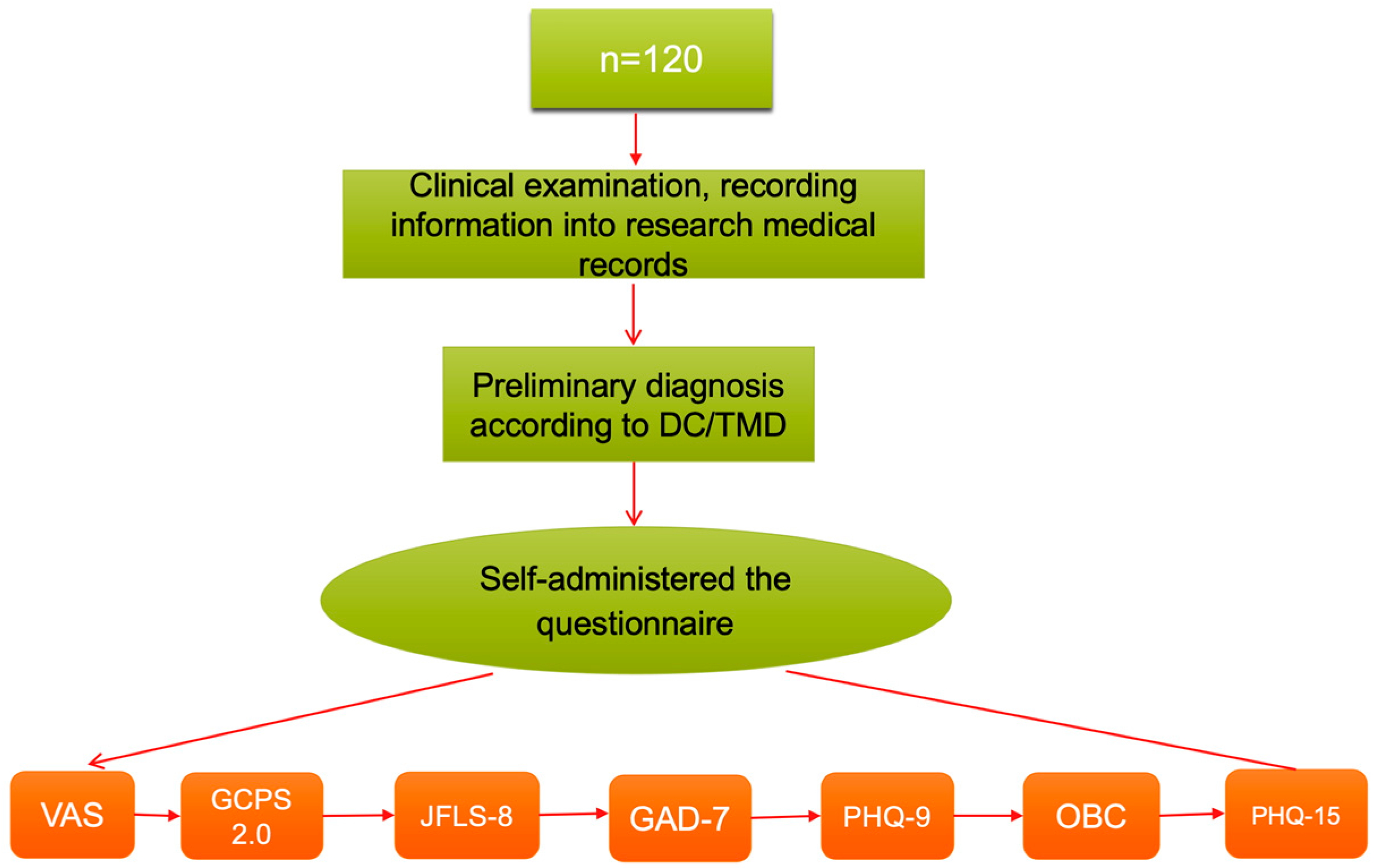 Dentistry 13 00480 g001 Dentistry 13 00480 g001