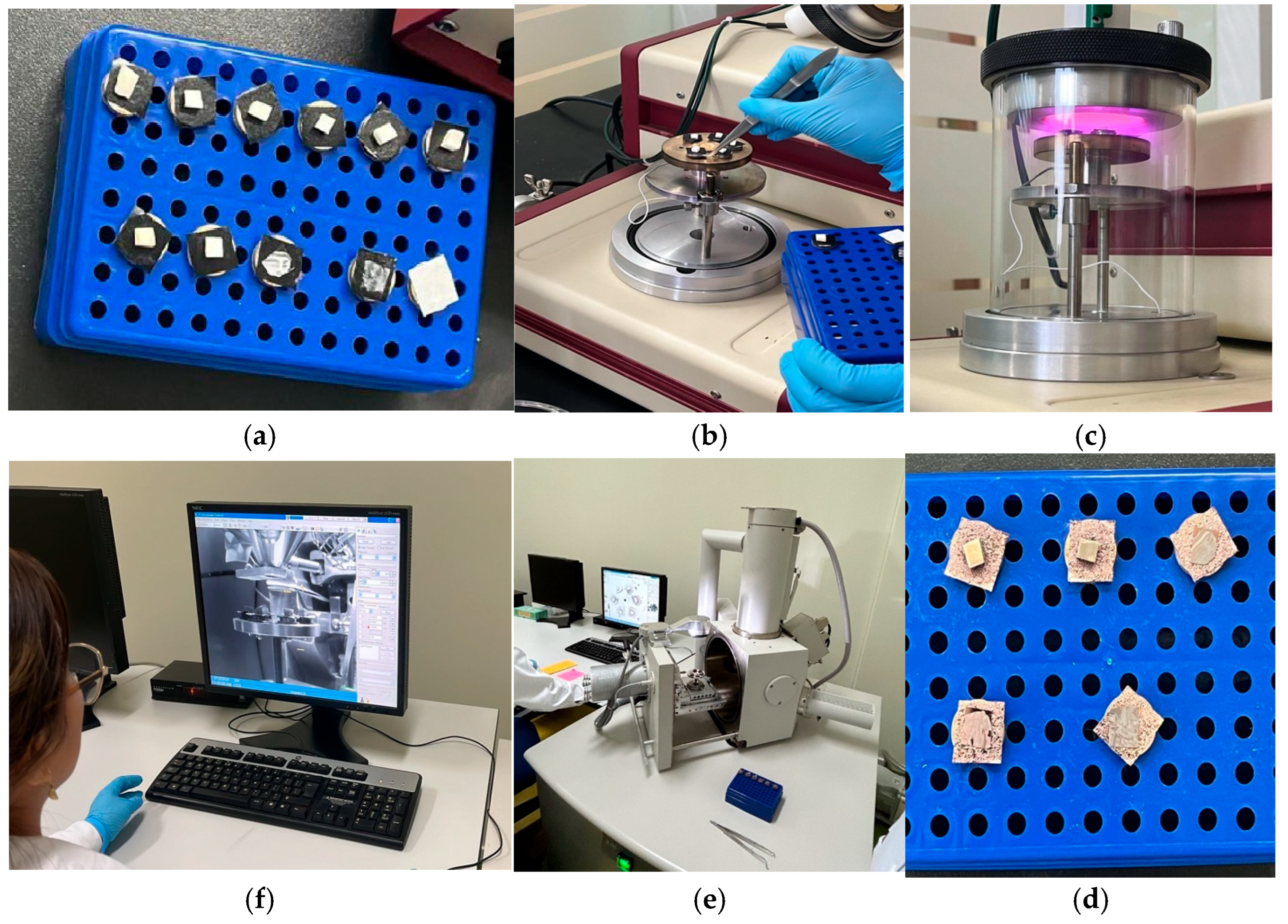Dentistry 13 00482 g002