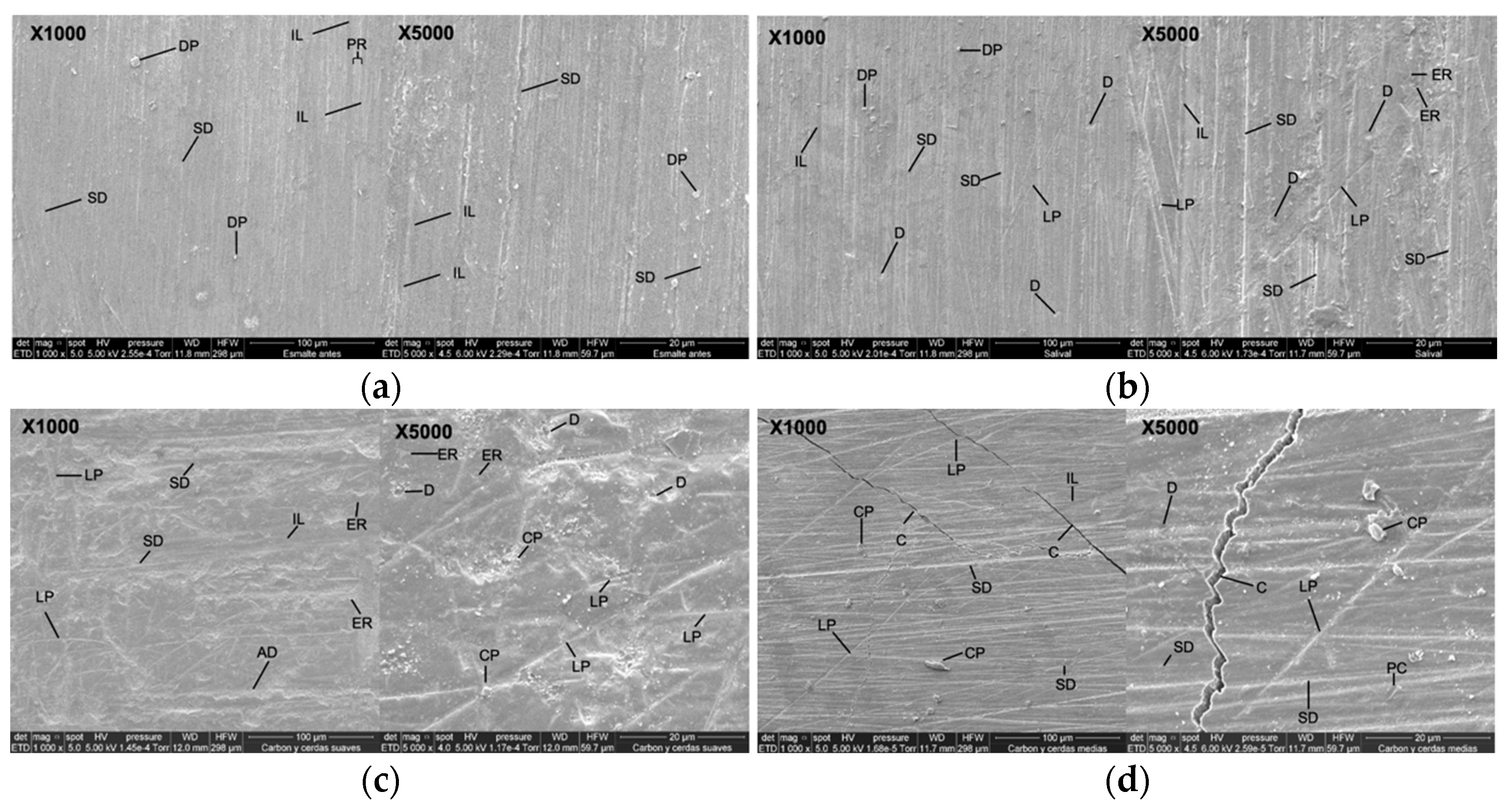 Dentistry 13 00482 g004a