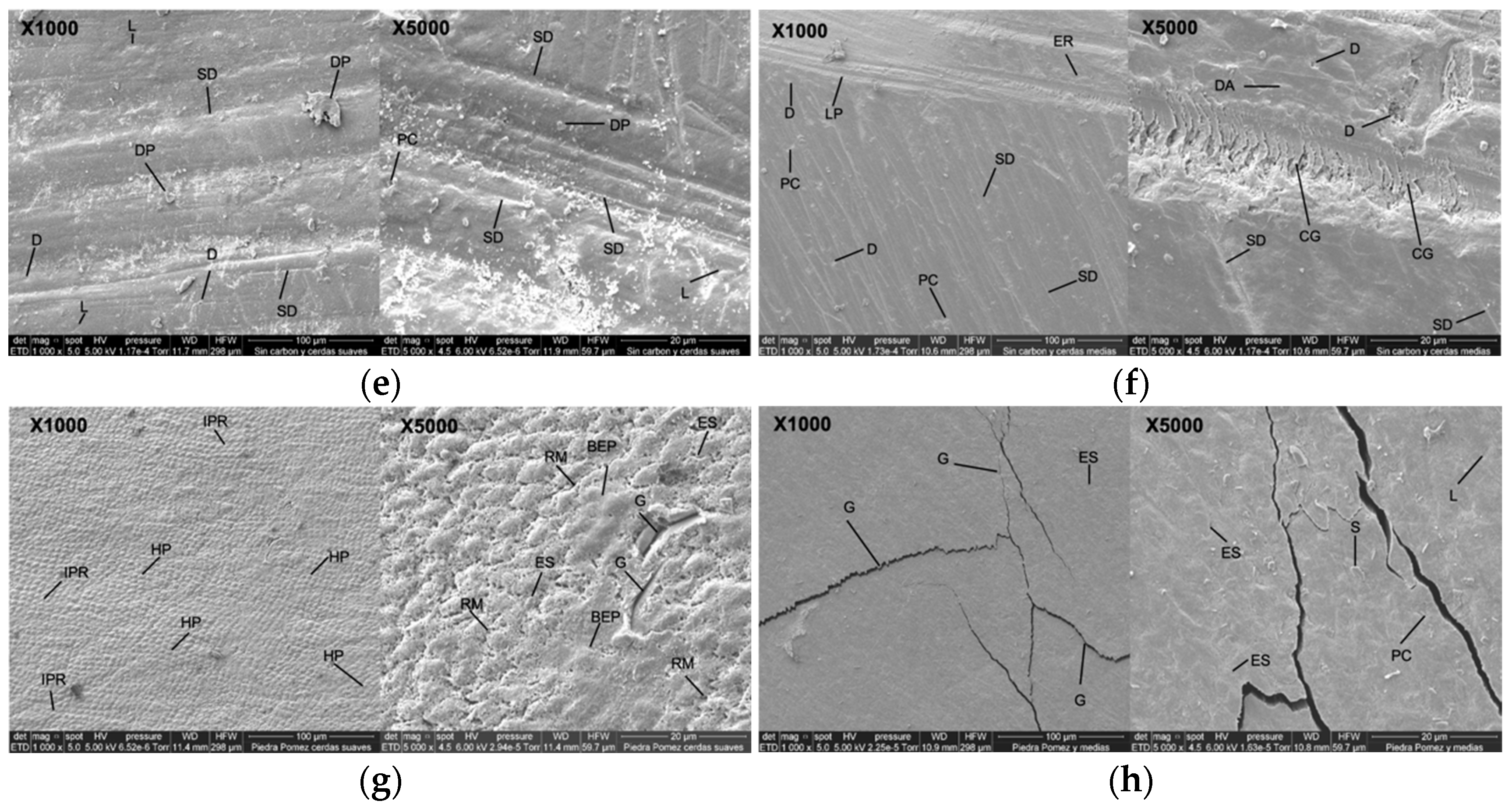 Dentistry 13 00482 g004b