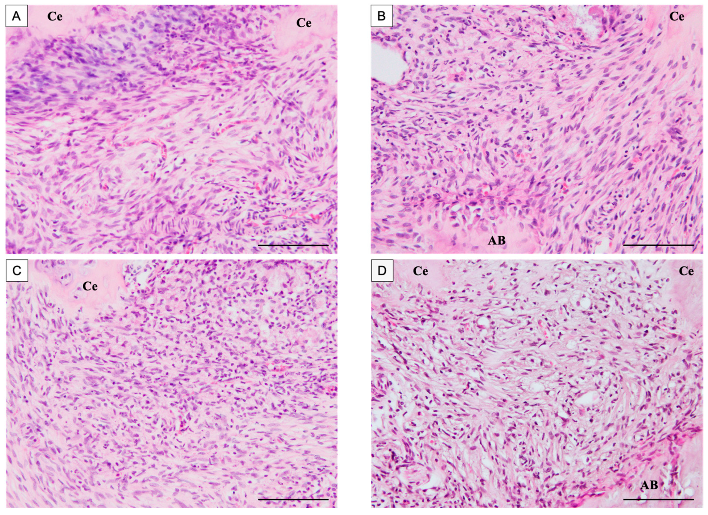 Dentistry 13 00494 g003