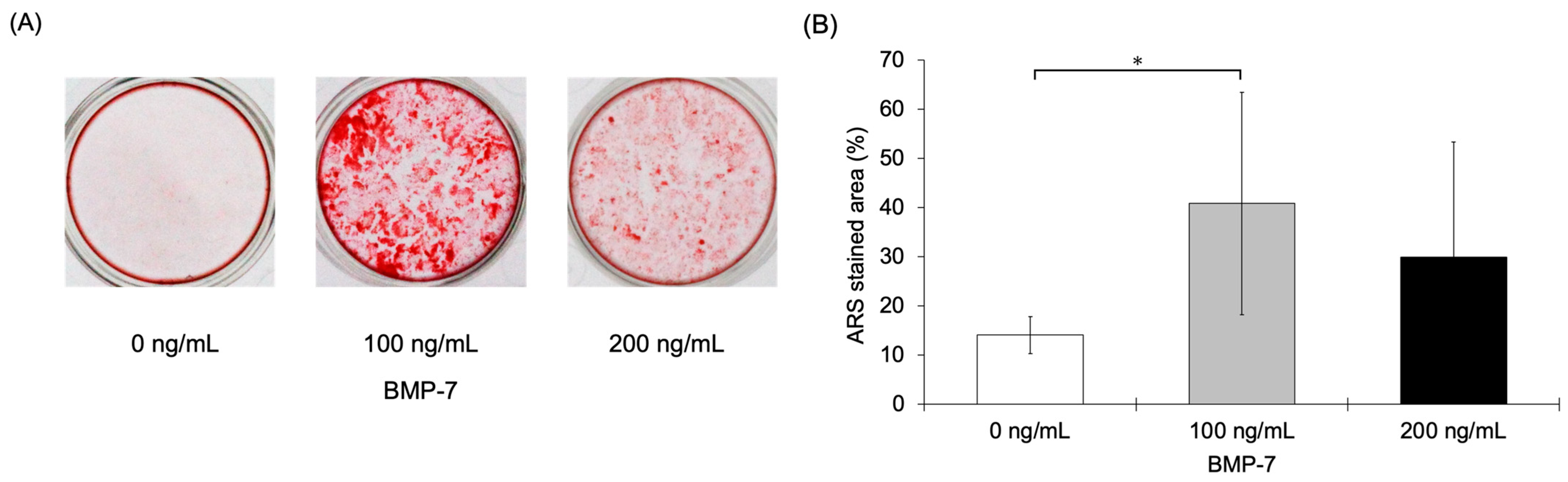 Dentistry 13 00494 g010