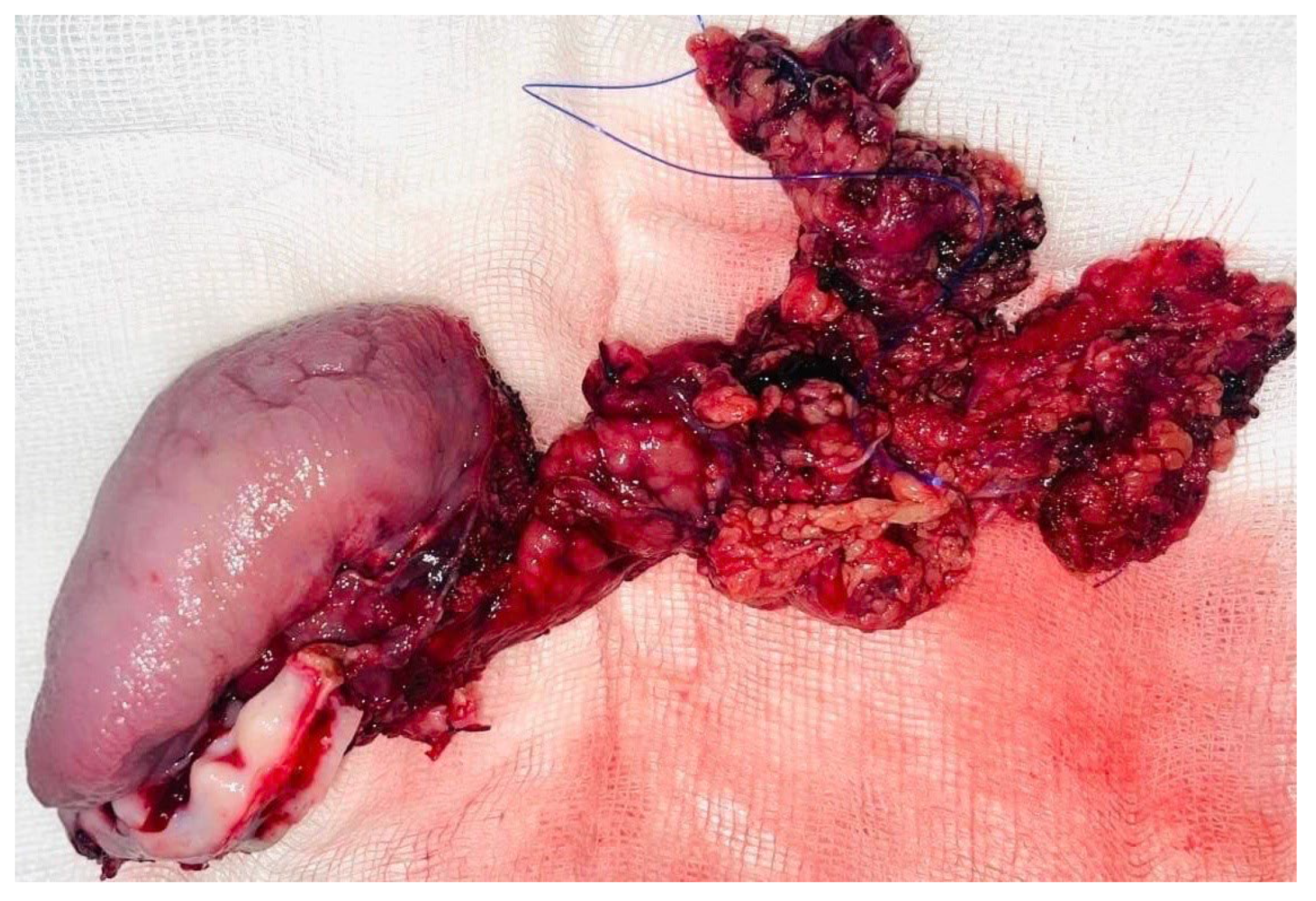 Dentistry 13 00499 g006