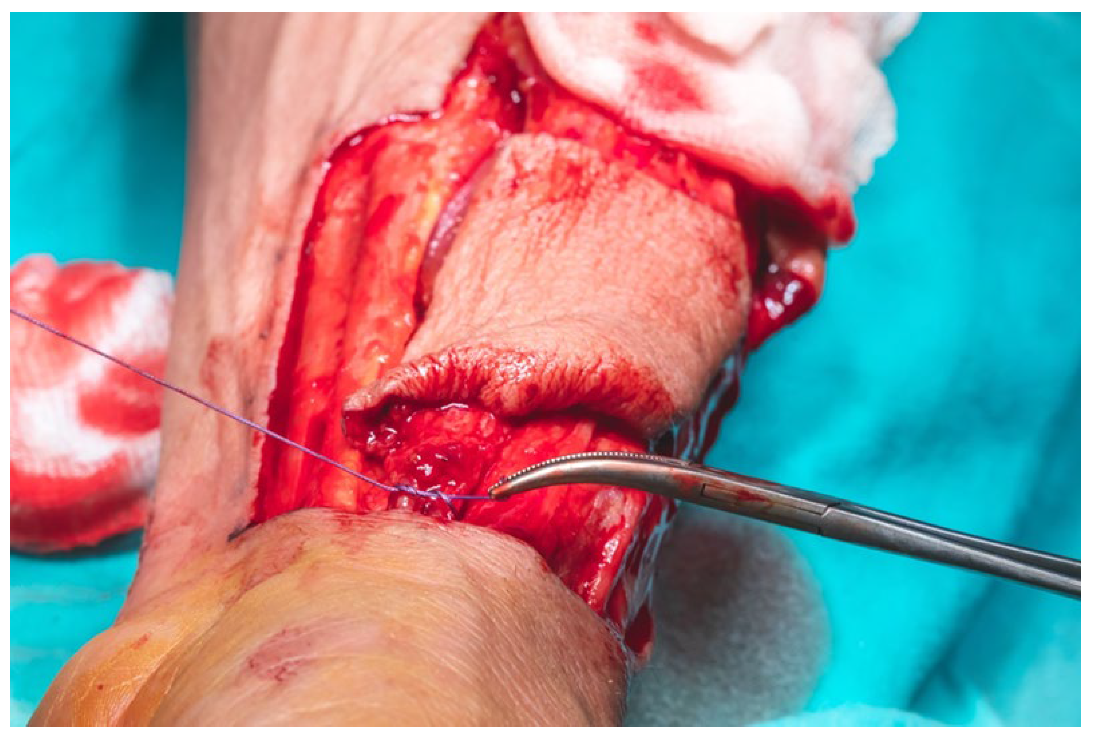 Dentistry 13 00499 g012