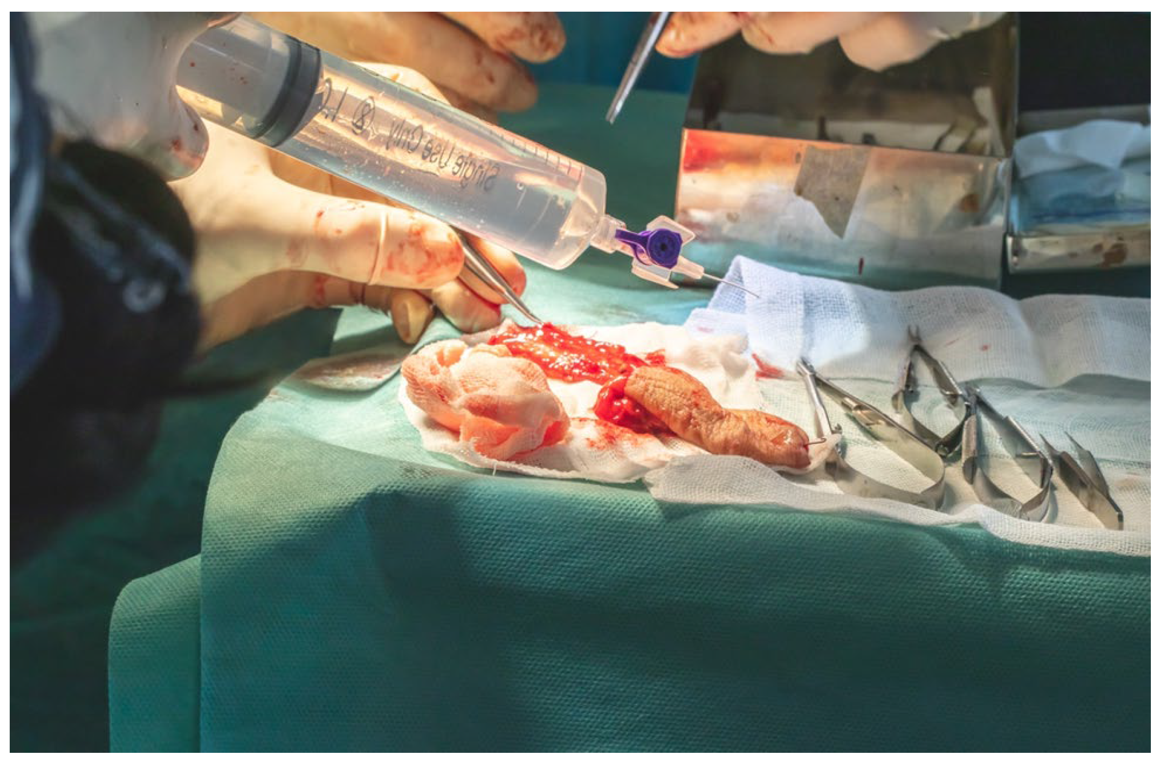 Dentistry 13 00499 g017