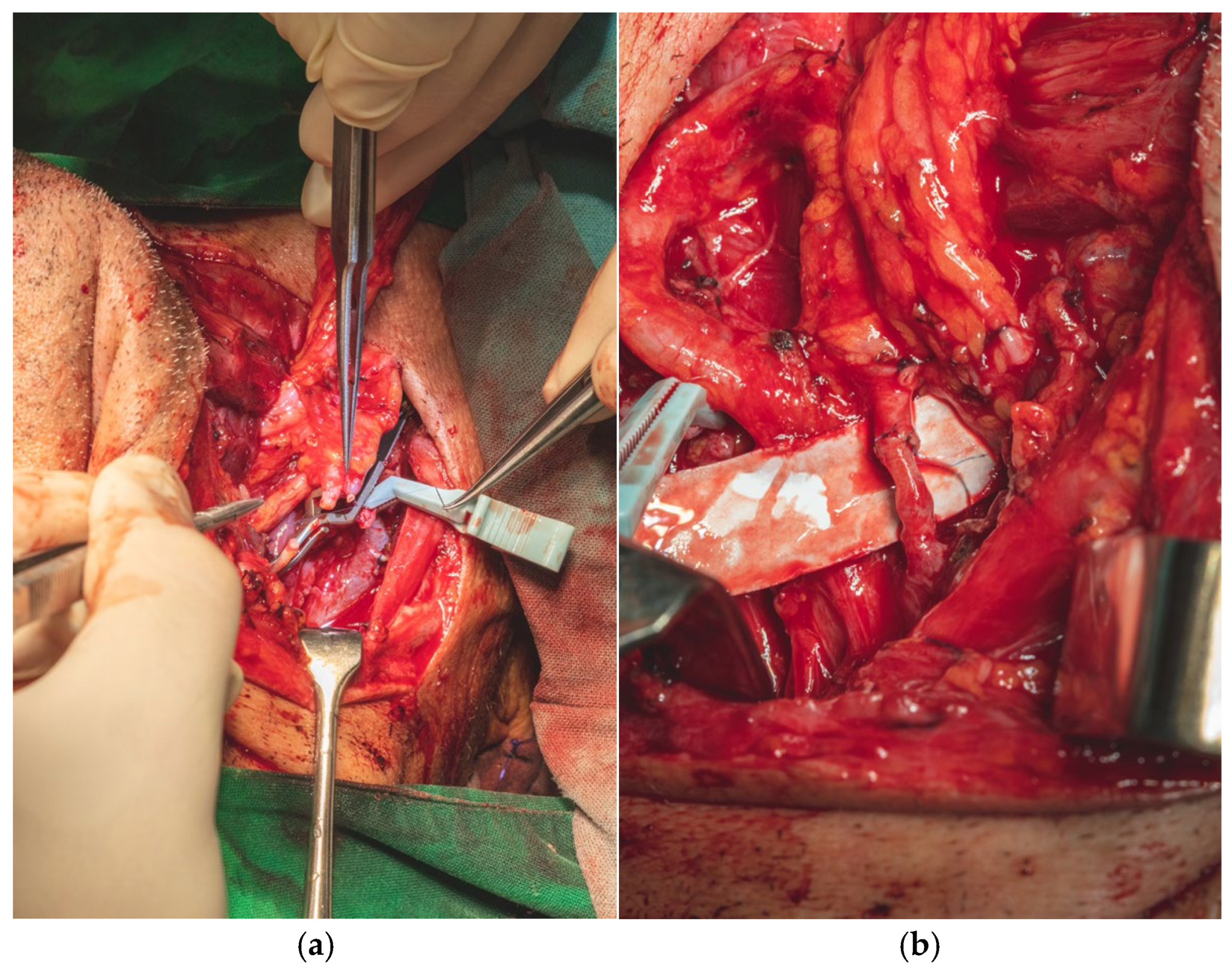 Dentistry 13 00499 g018