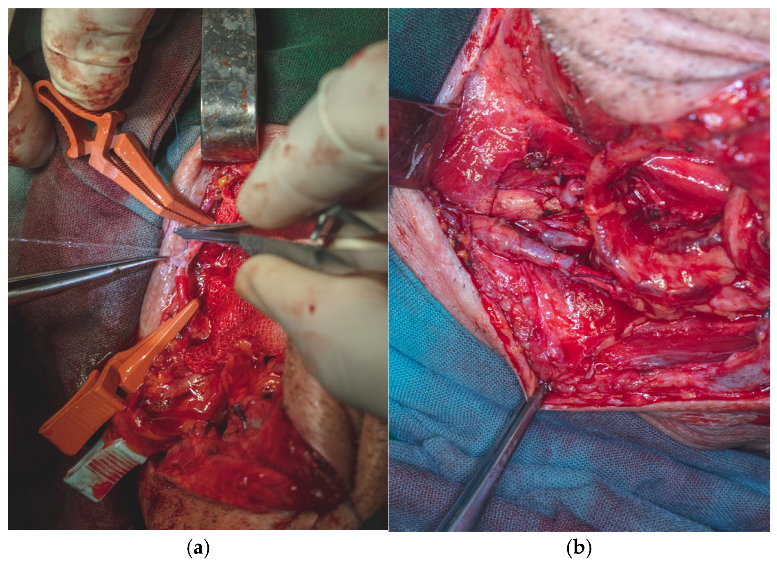 Dentistry 13 00499 g019