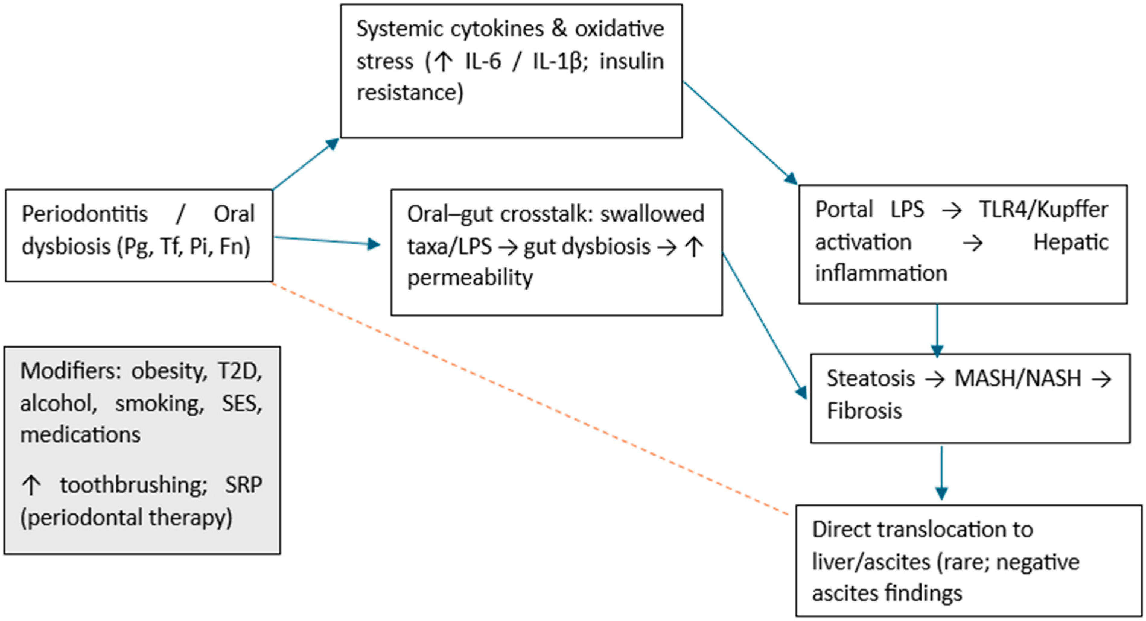 Dentistry 13 00503 g006 Dentistry 13 00503 g006
