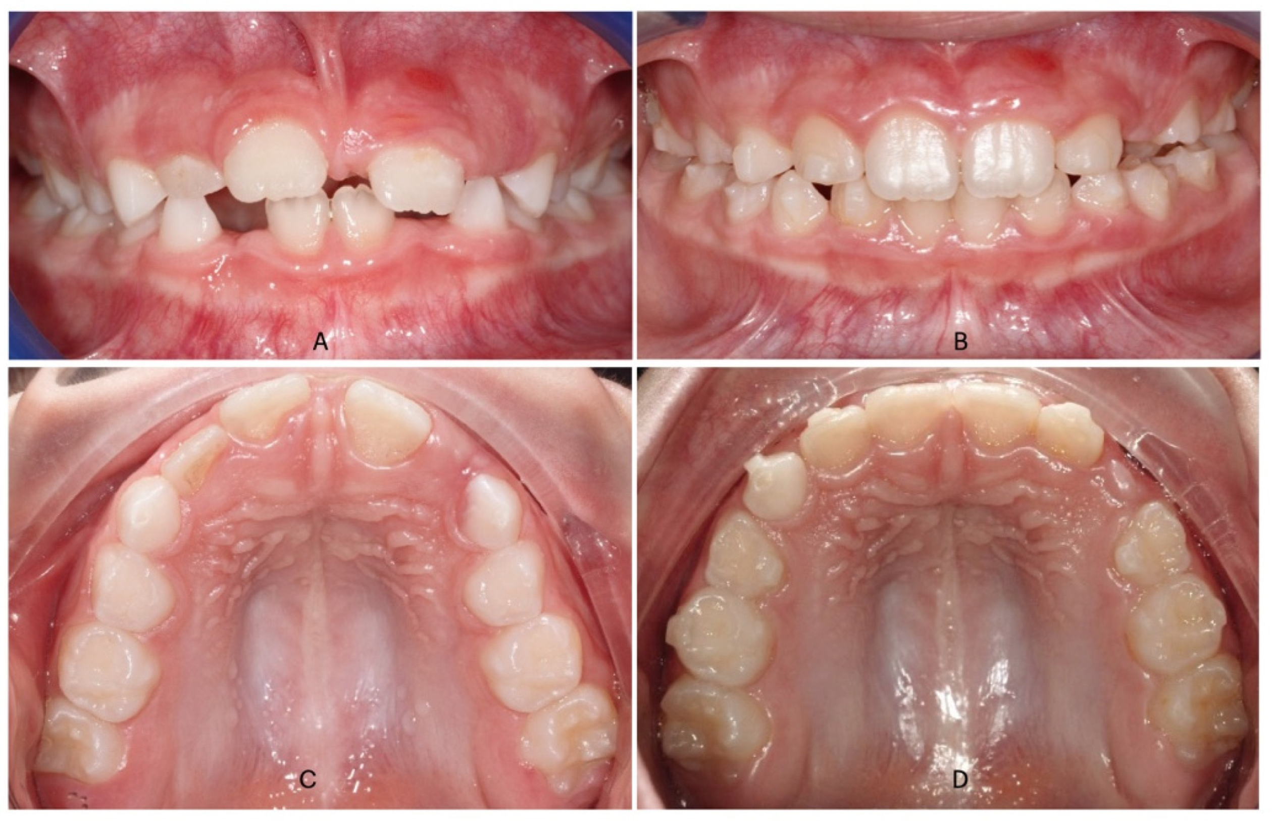 Dentistry 13 00504 g002