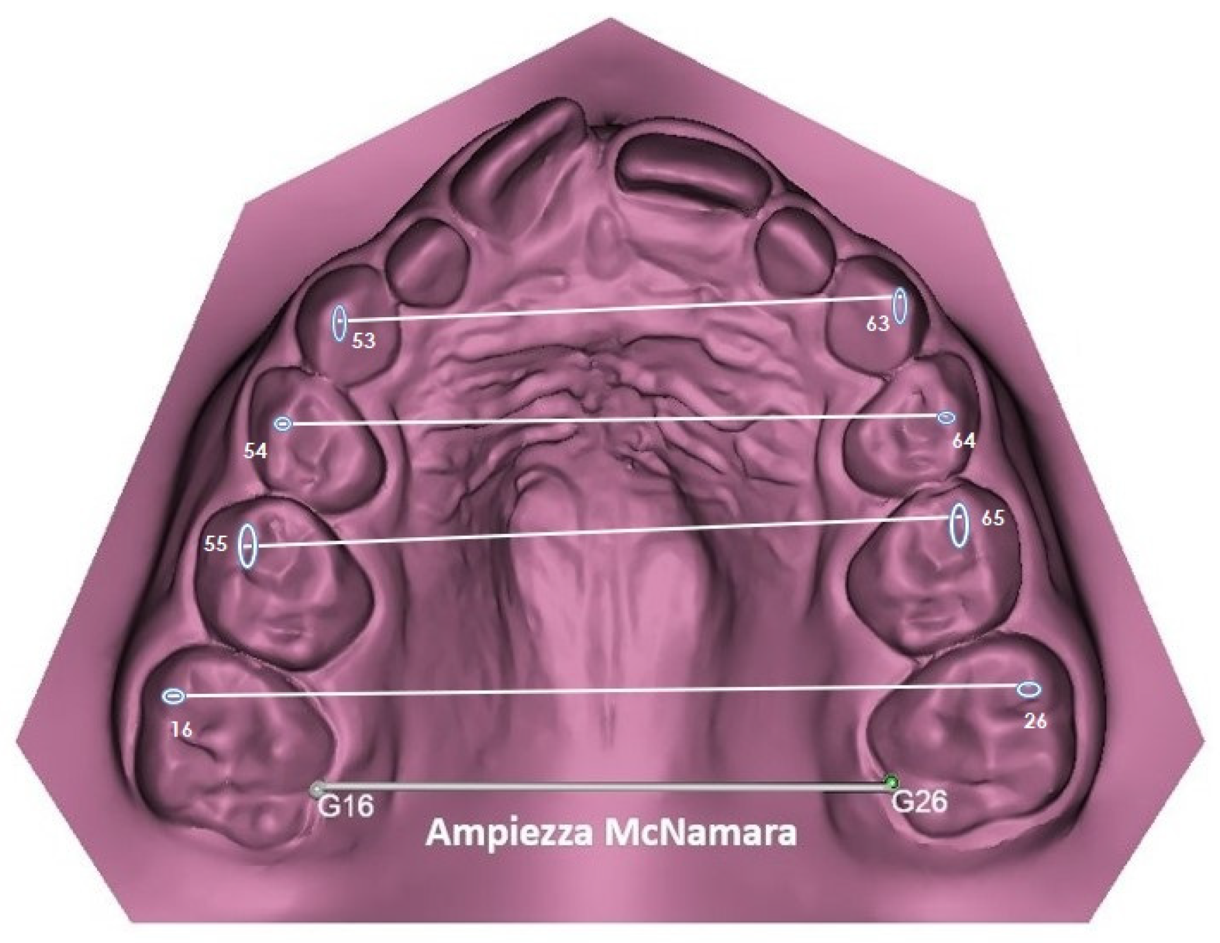 Dentistry 13 00504 g003