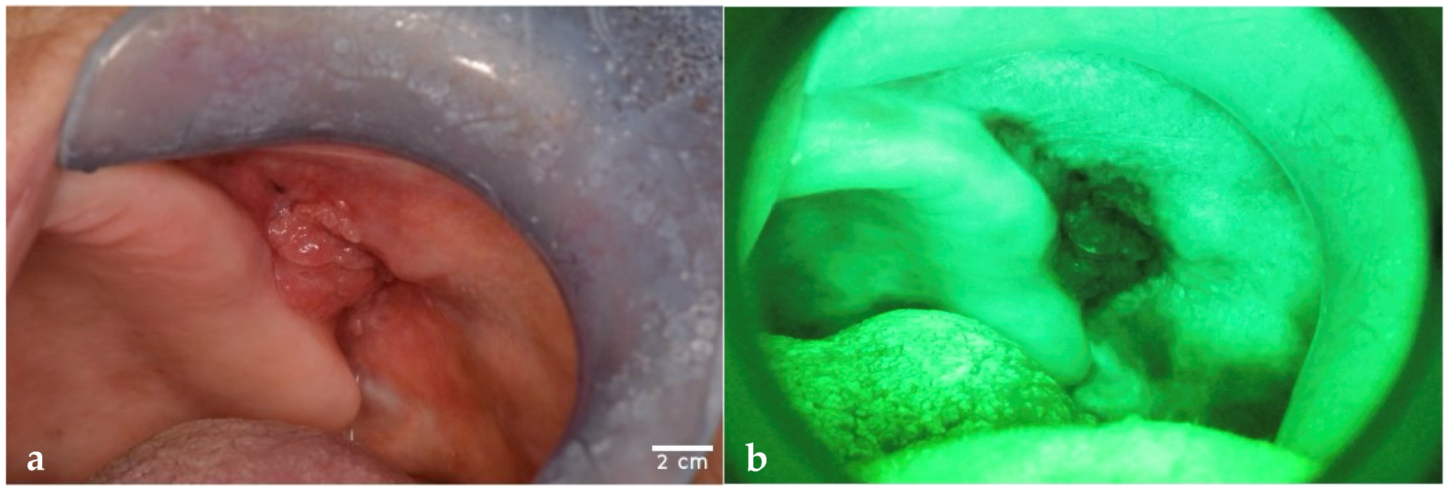Dentistry 13 00512 g001a Dentistry 13 00512 g001a