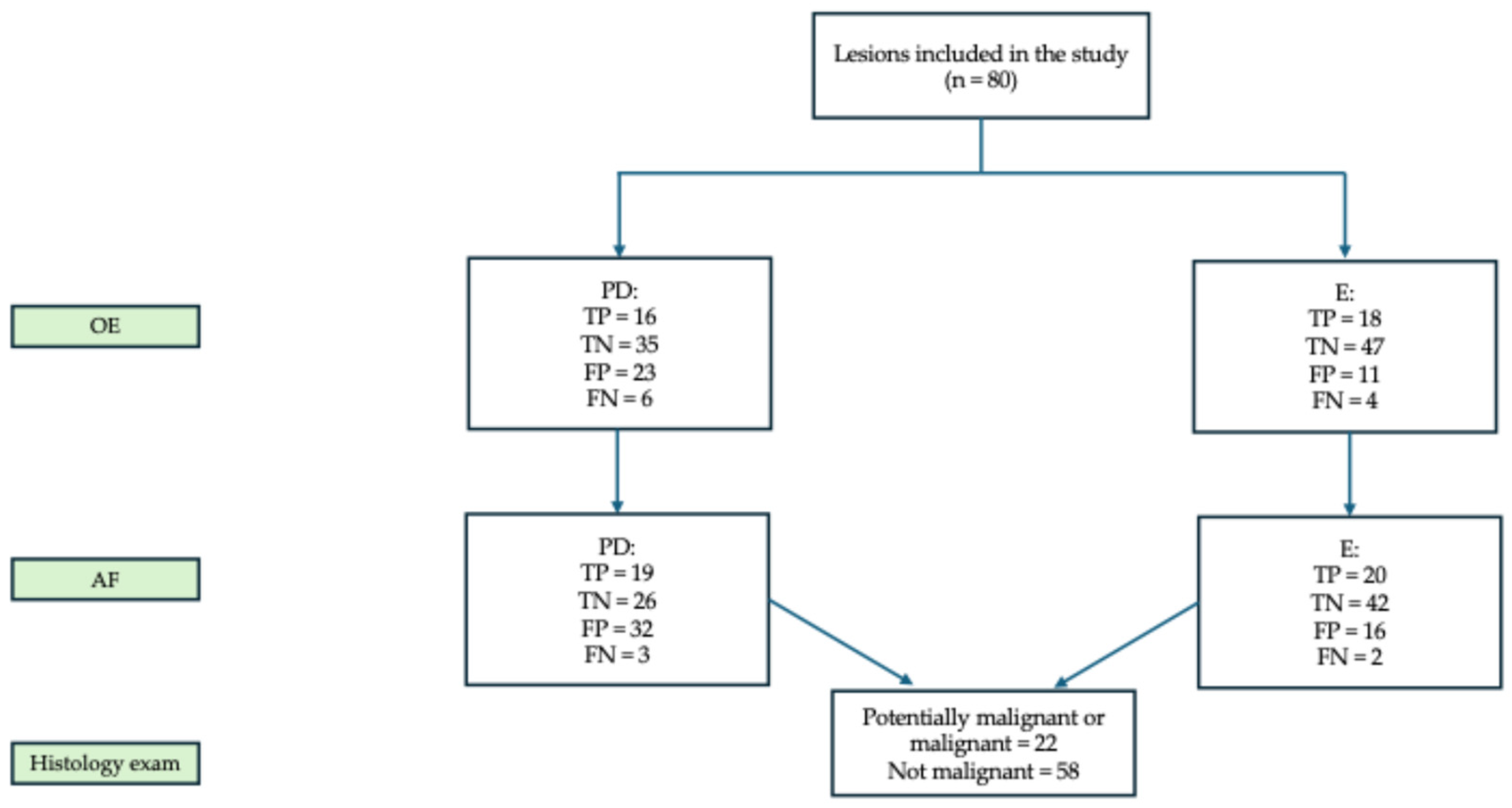 Dentistry 13 00512 g002 Dentistry 13 00512 g002