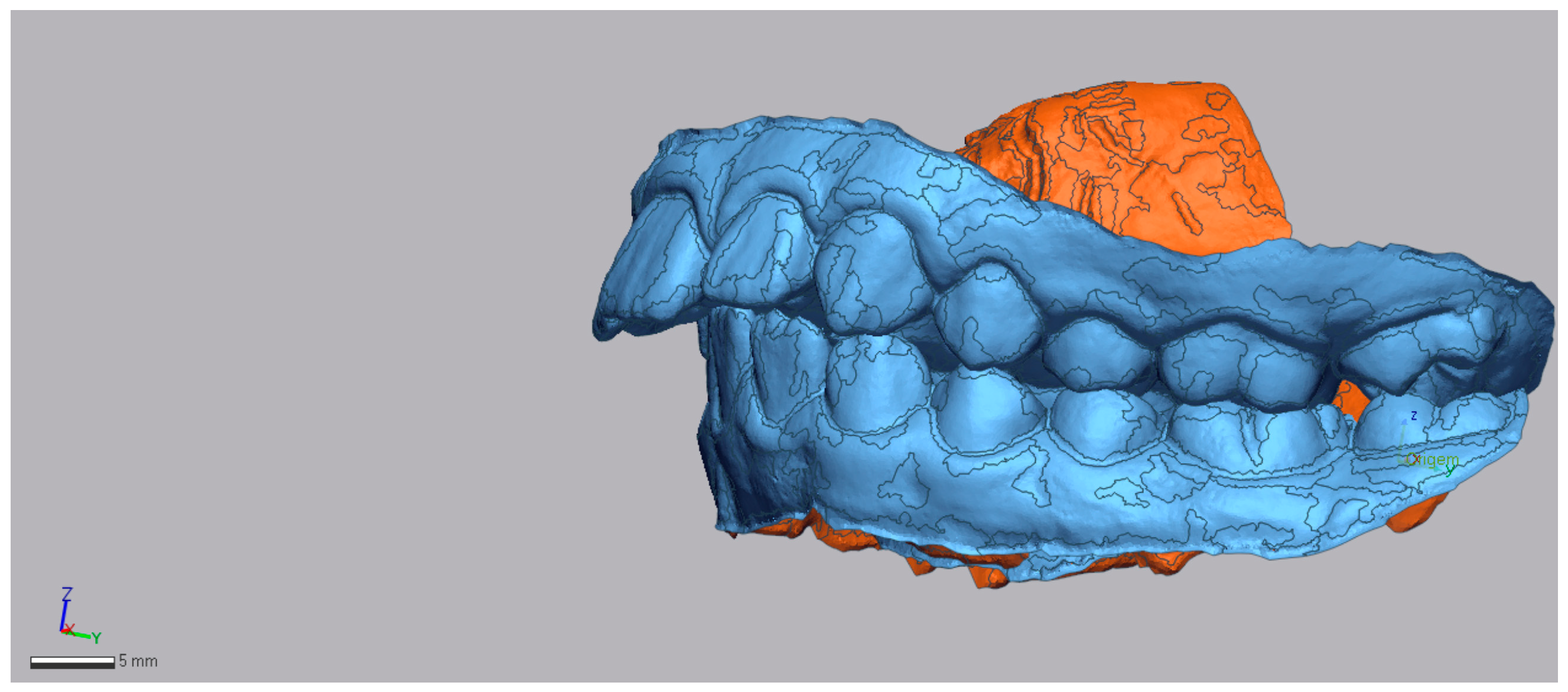 Dentistry 13 00517 g001