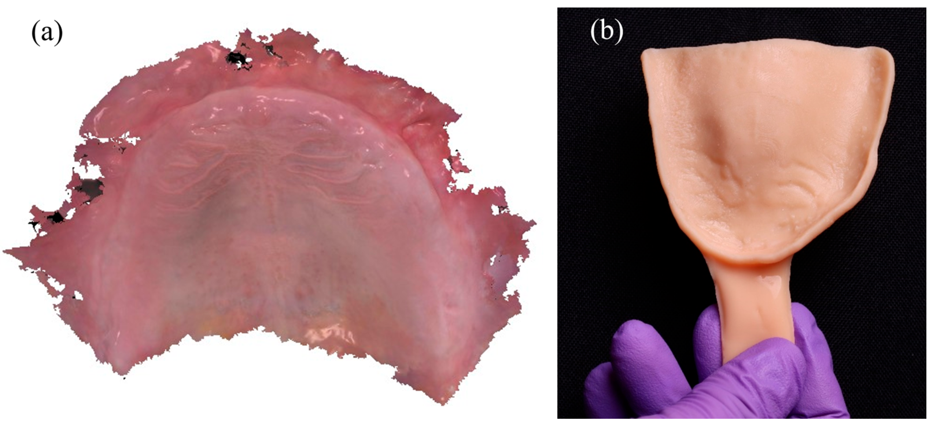 Dentistry 13 00524 g002