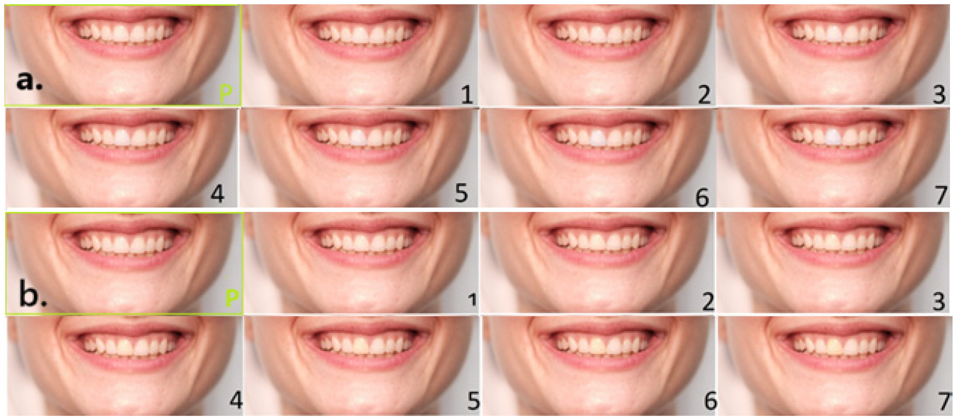 Dentistry 13 00534 g001