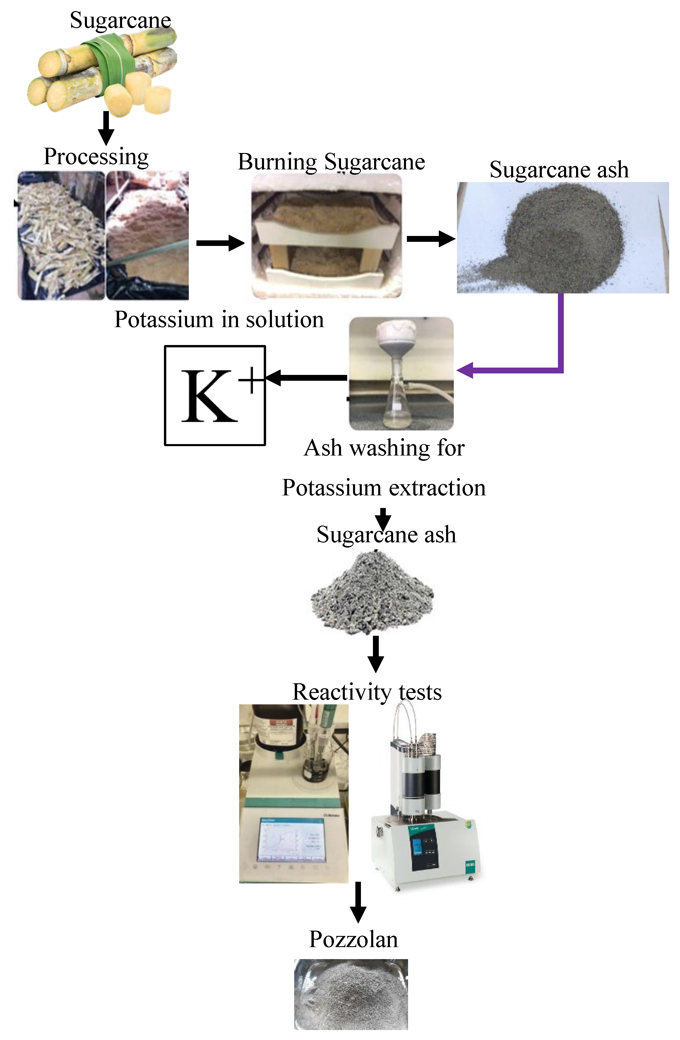 Dentistry 13 00540 g006