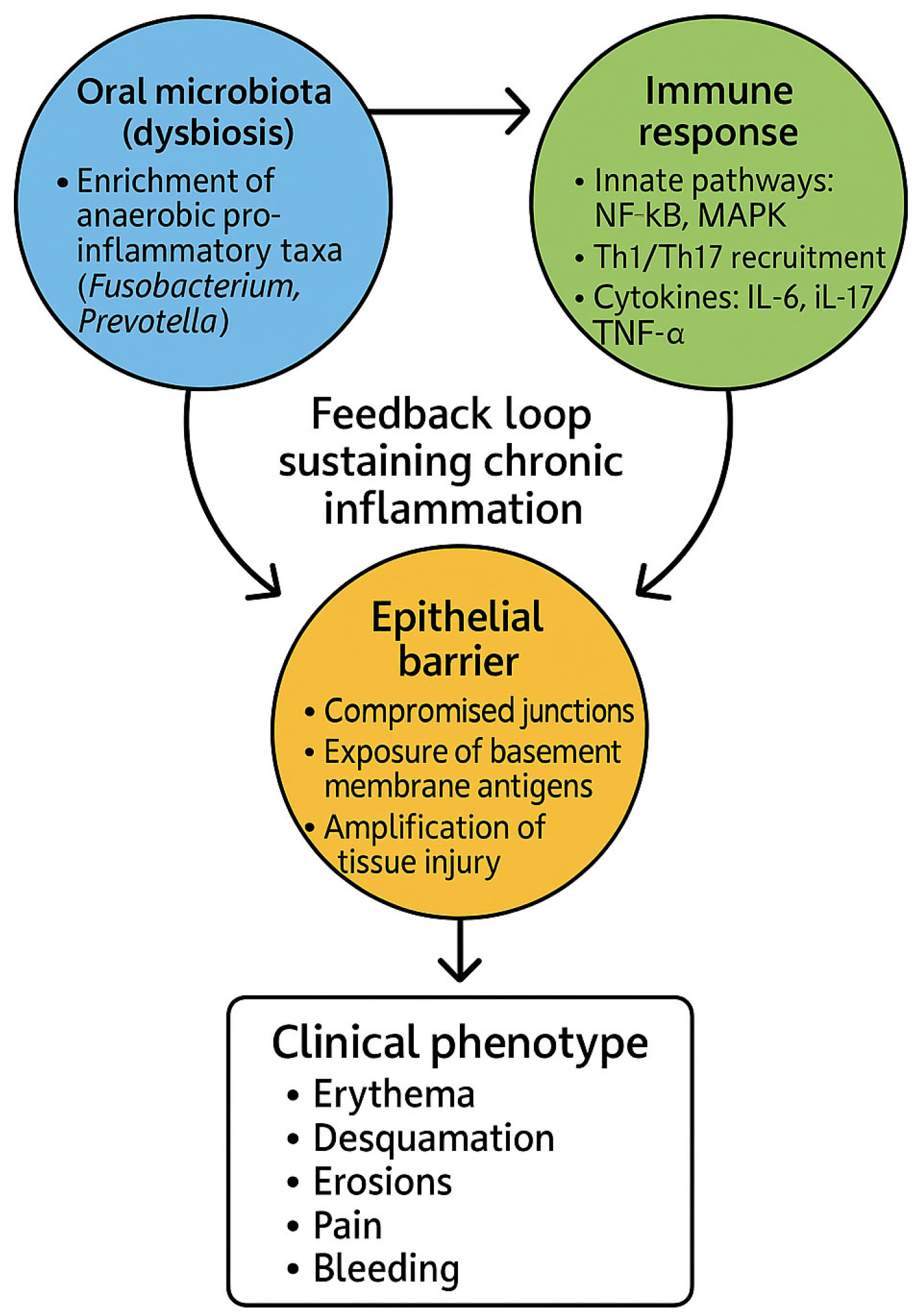 Dentistry 13 00541 g002