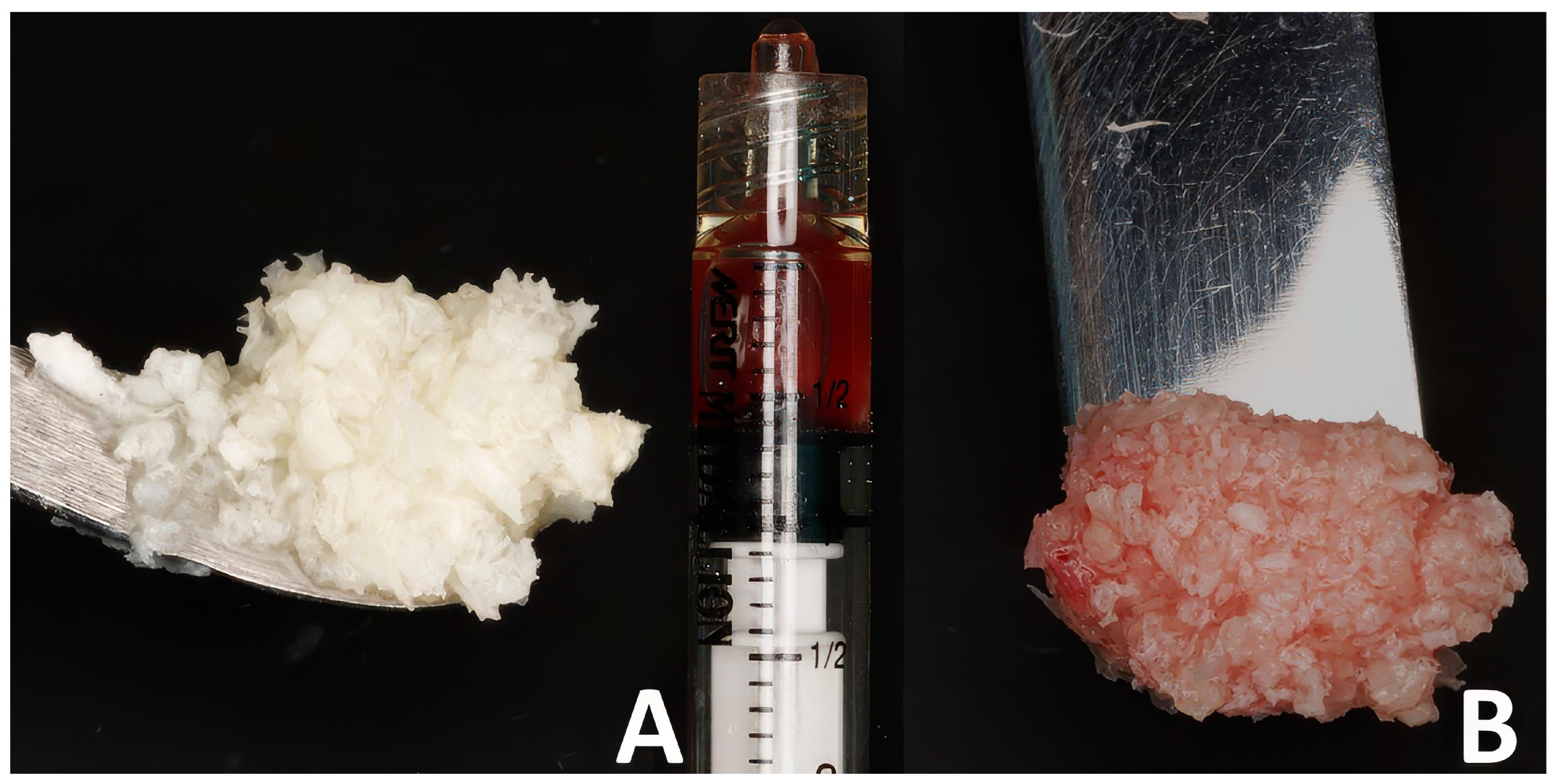 Dentistry 13 00545 g002