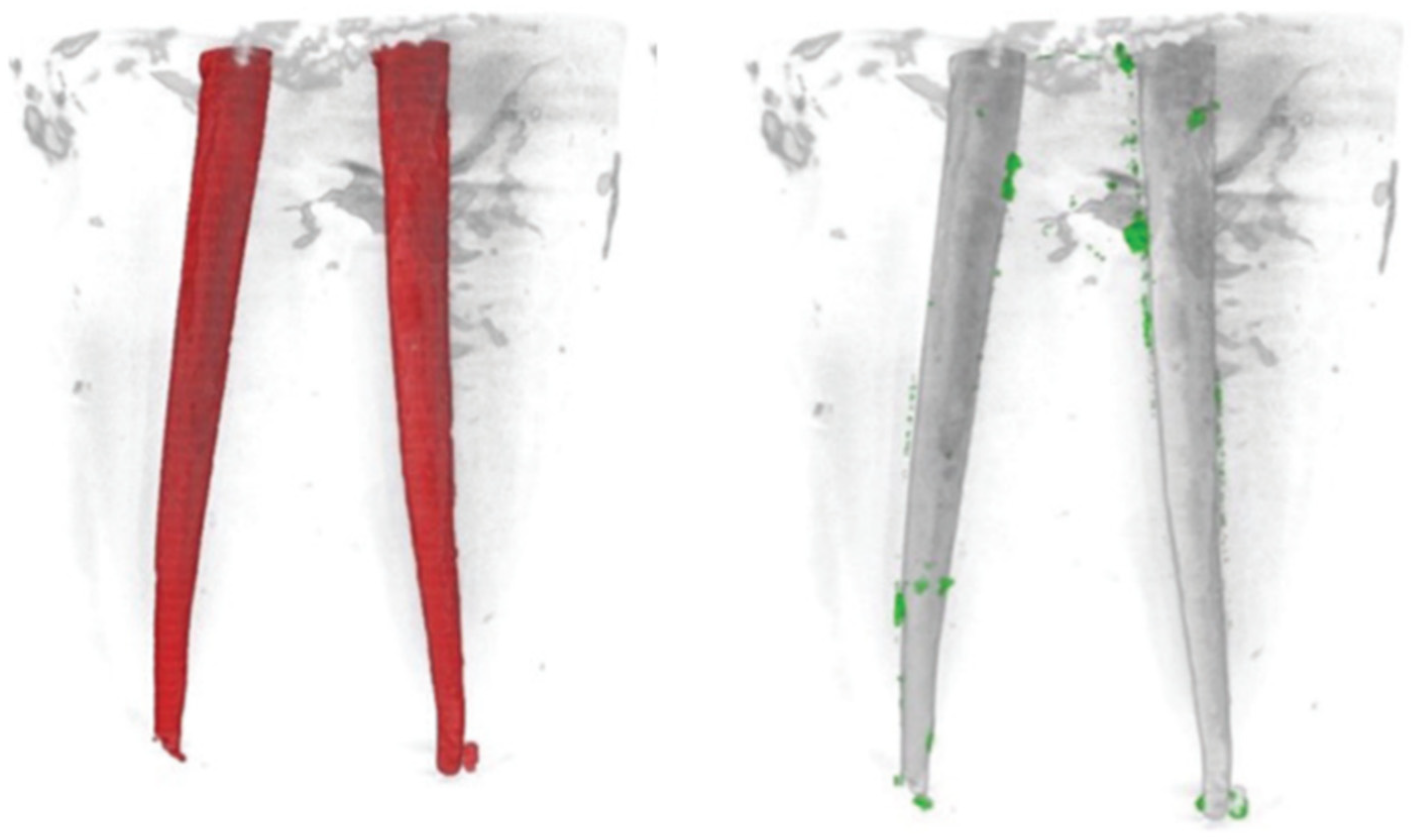 Dentistry 13 00547 g002