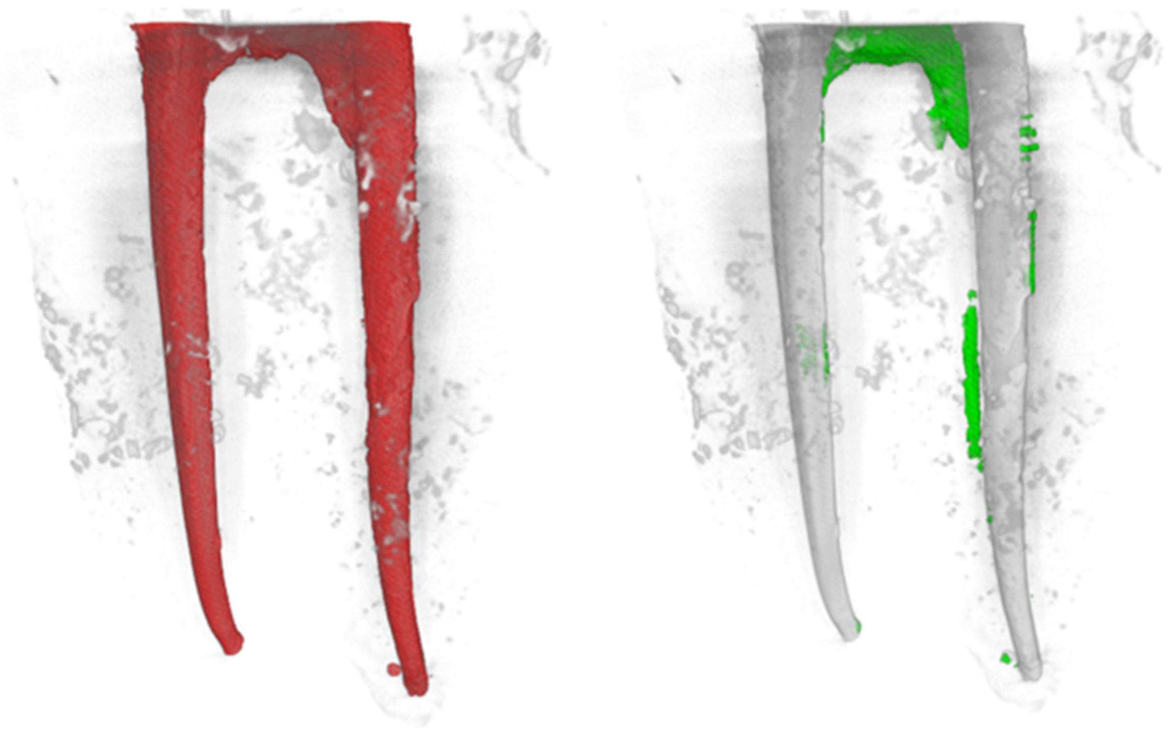 Dentistry 13 00547 g003