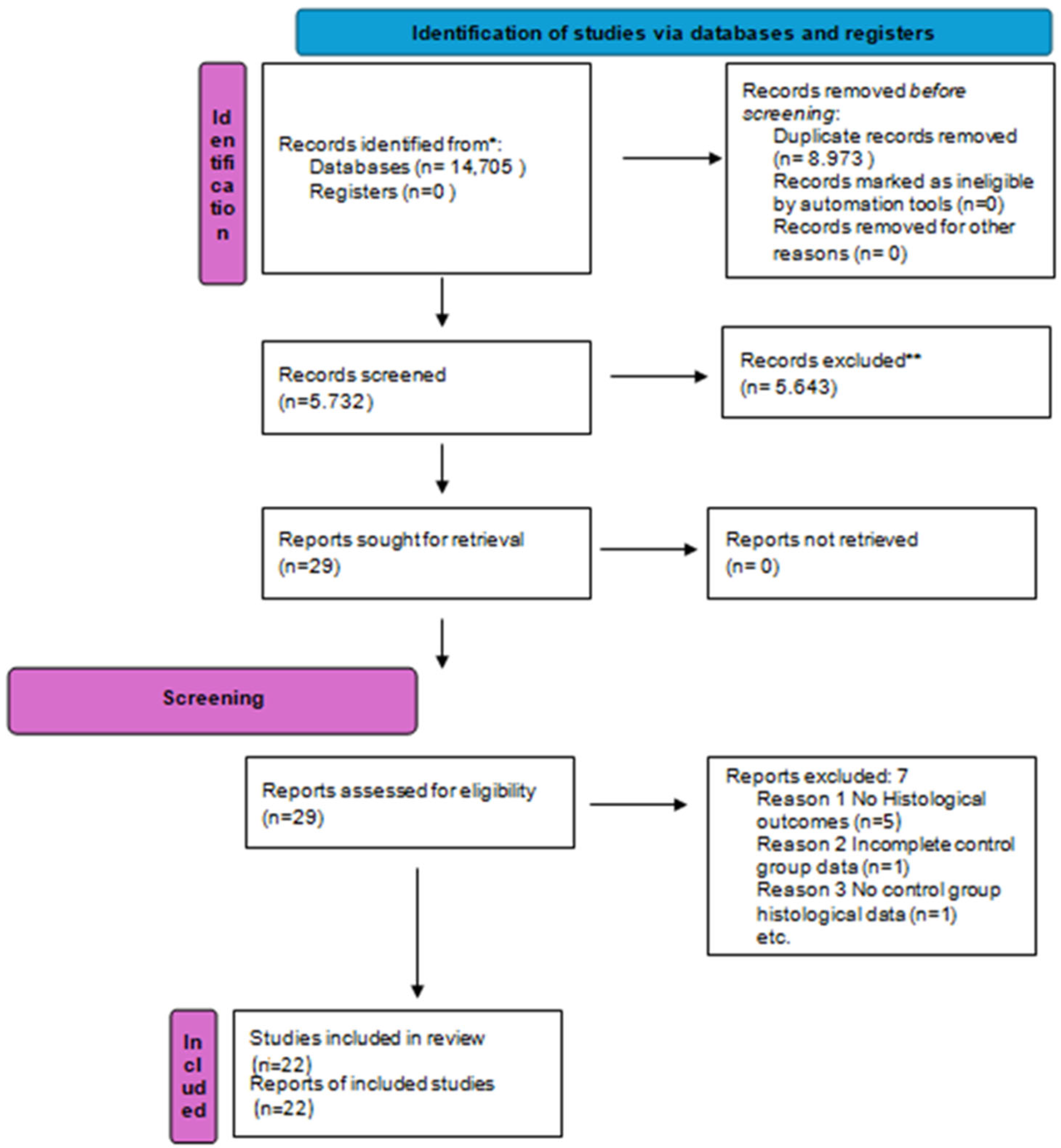 Dentistry 13 00556 g001 Dentistry 13 00556 g001