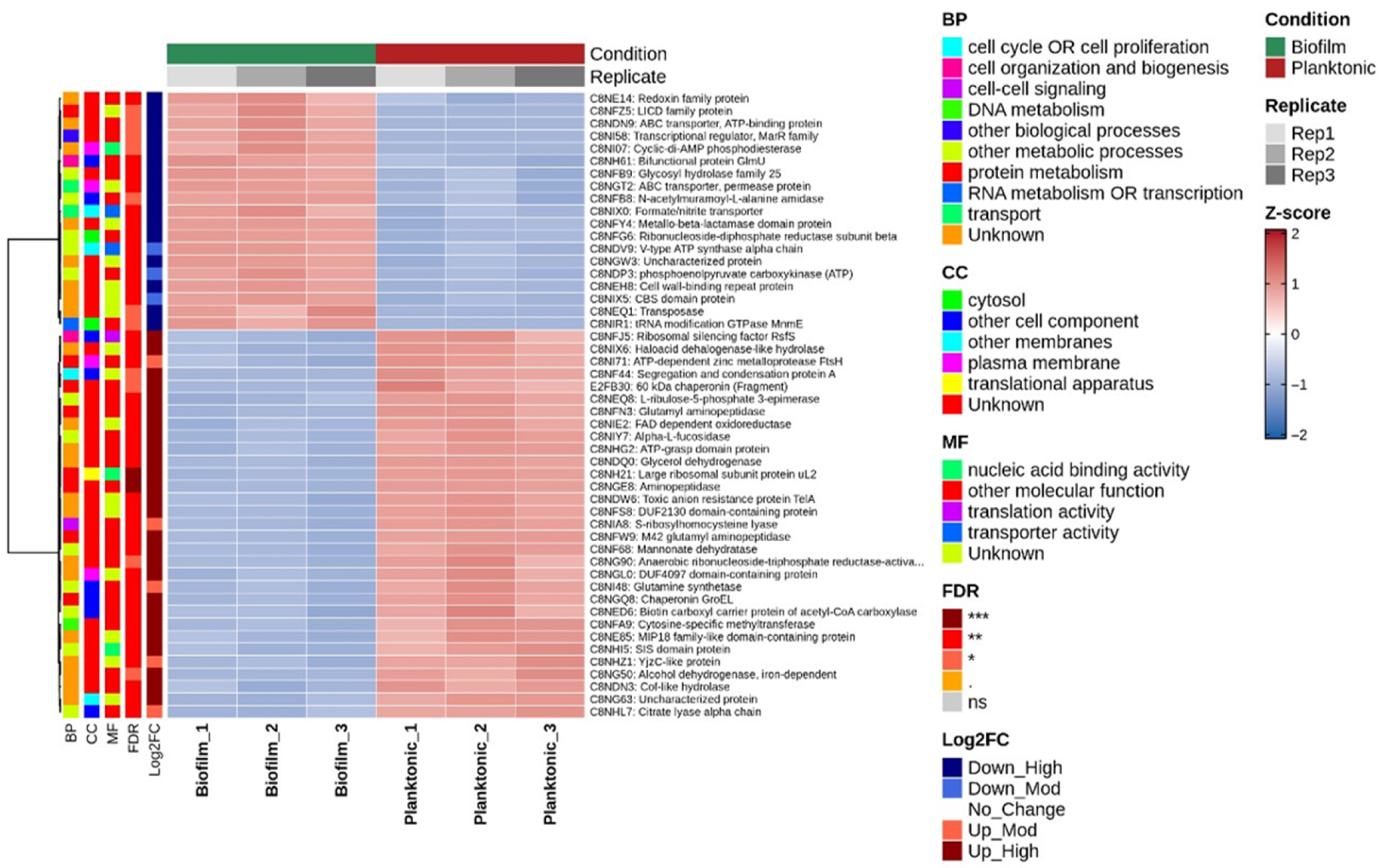 Dentistry 13 00557 g003