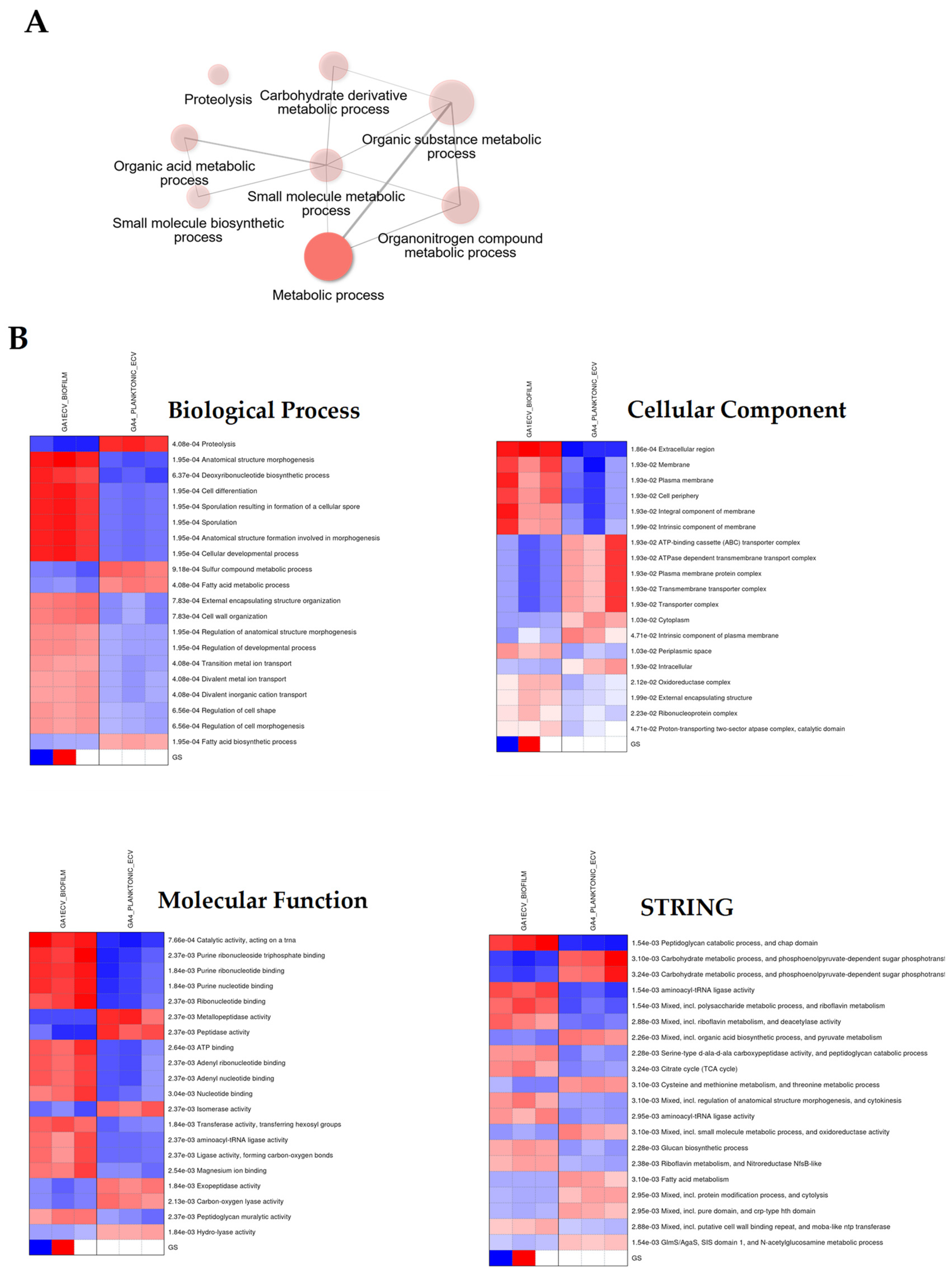 Dentistry 13 00557 g005