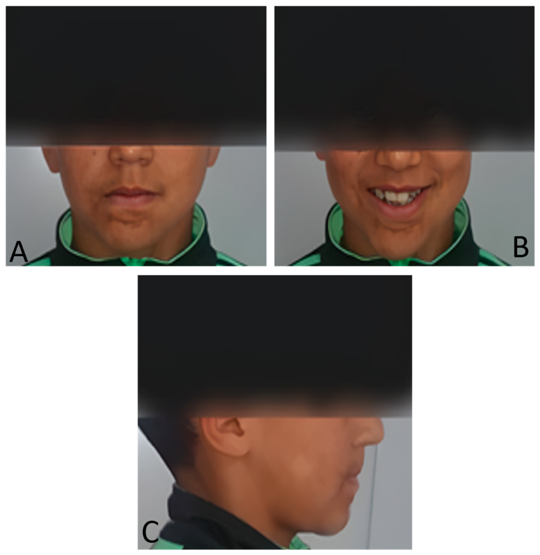 Dentistry 13 00559 g001